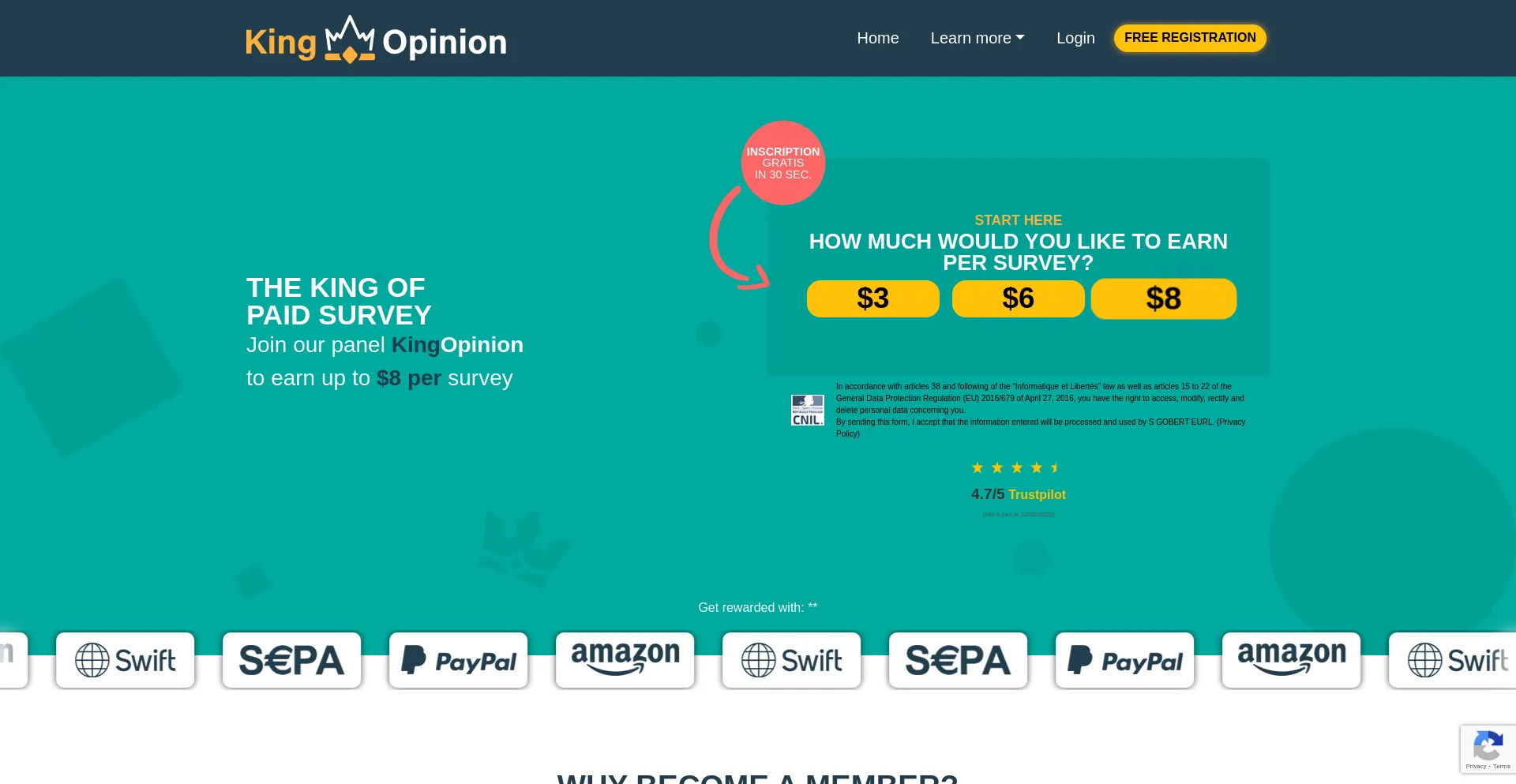 Website screenshot of Kingopinion.com
