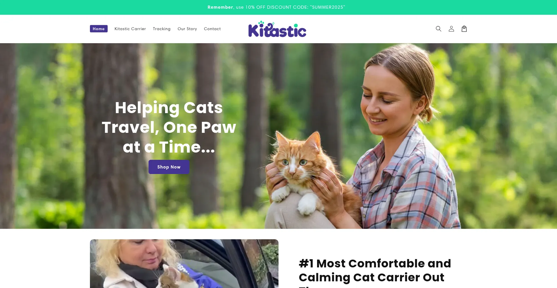 Is Kitastic.com Safe?