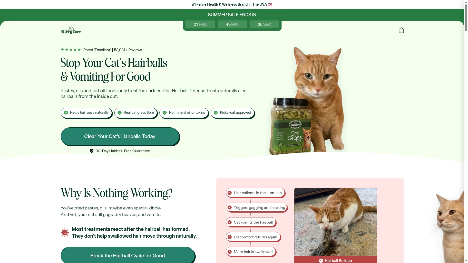 Kittycare.co