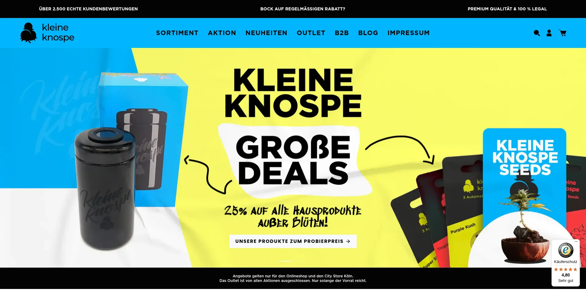 Website screenshot of Kleineknospe.de