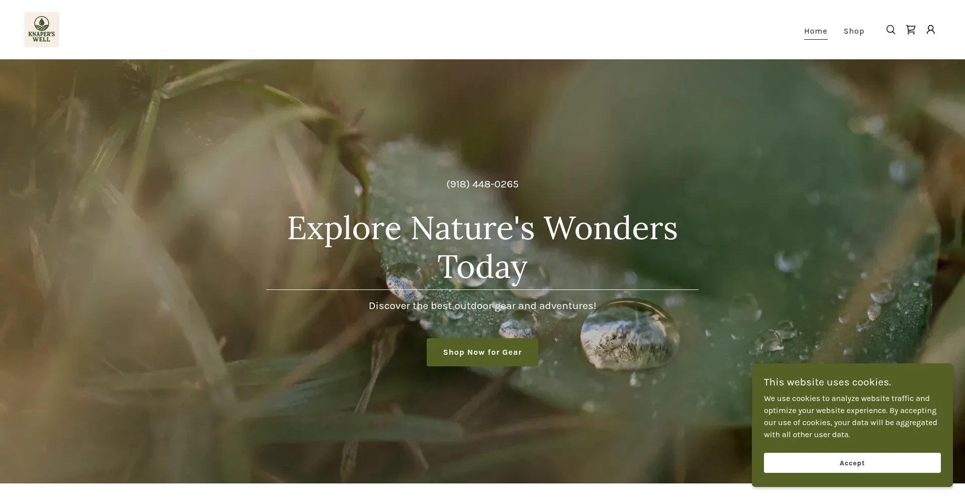 Website screenshot of Knaperswell.com
