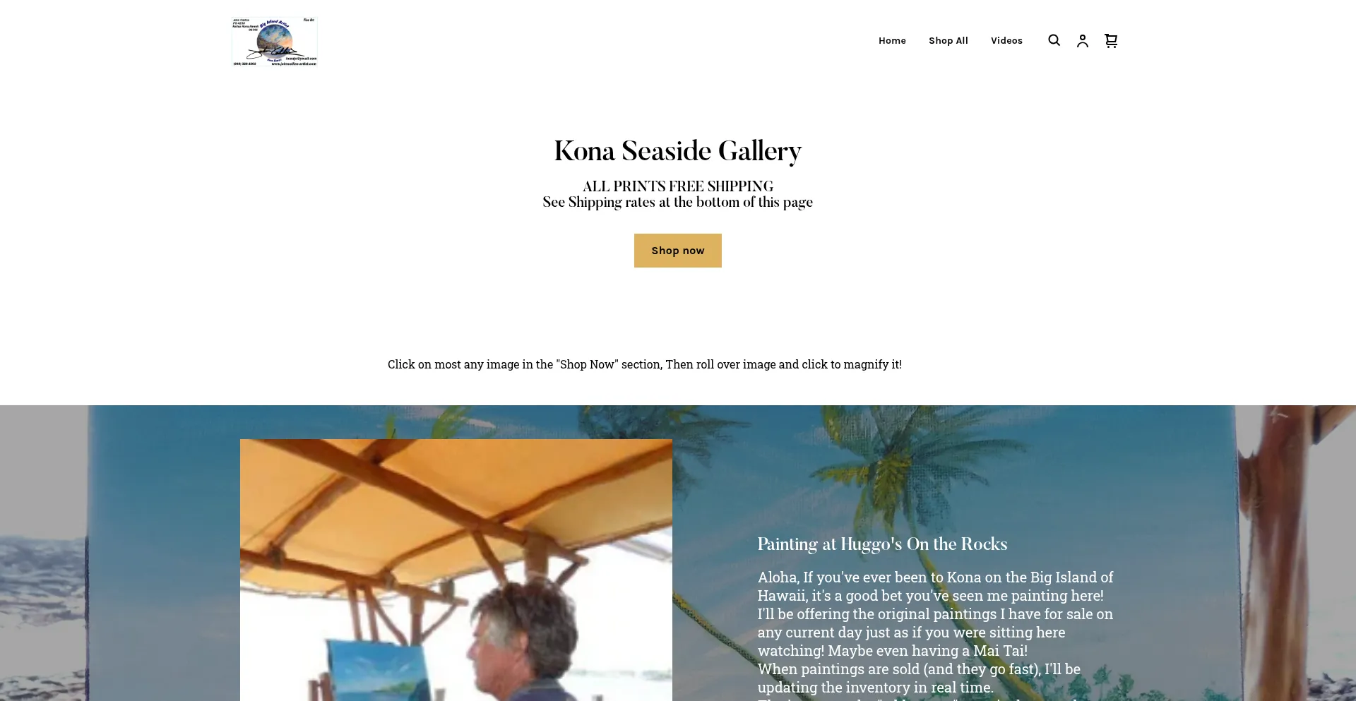 Website screenshot of Konaseasidegallery.com