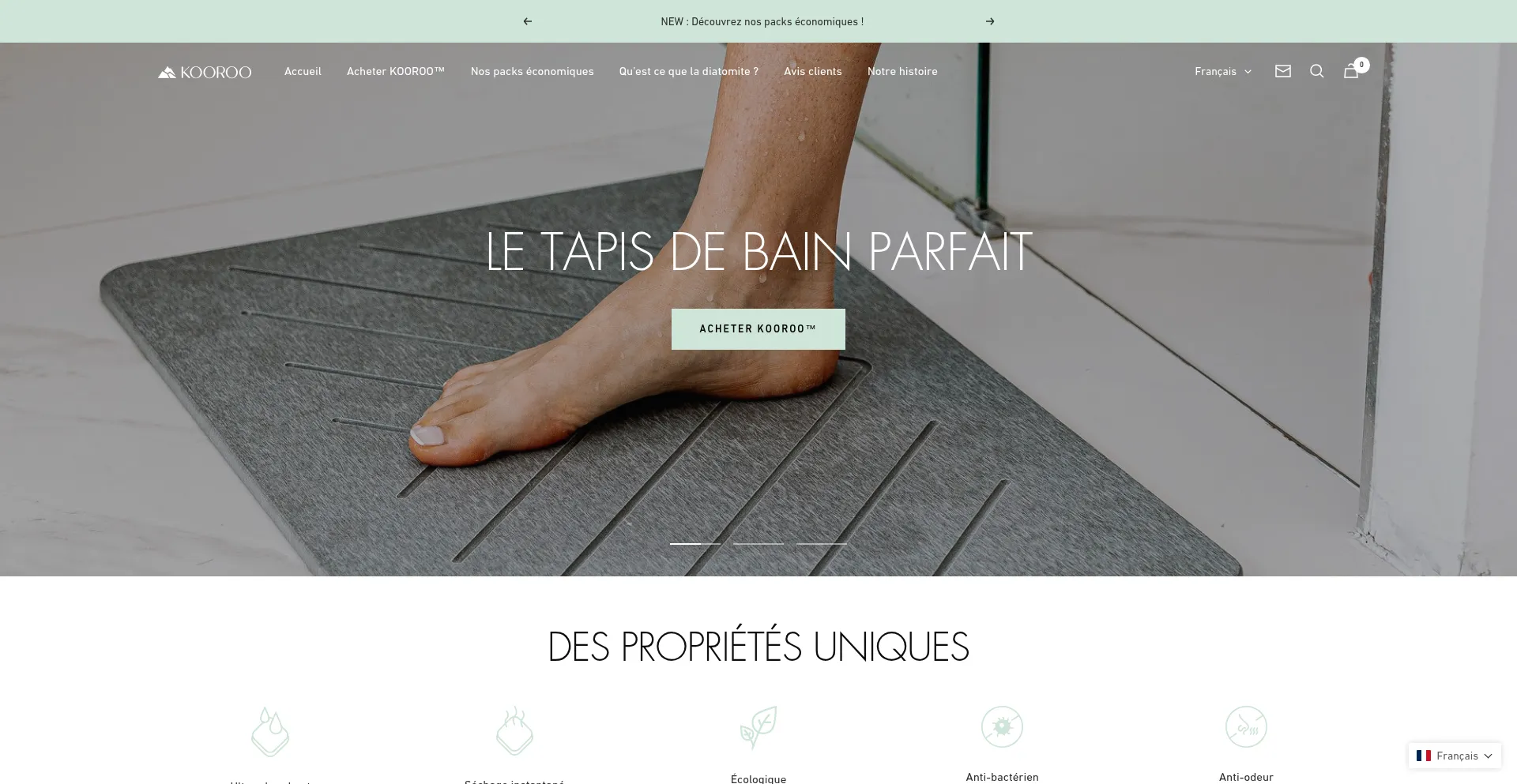 Website screenshot of Koo-roo.com