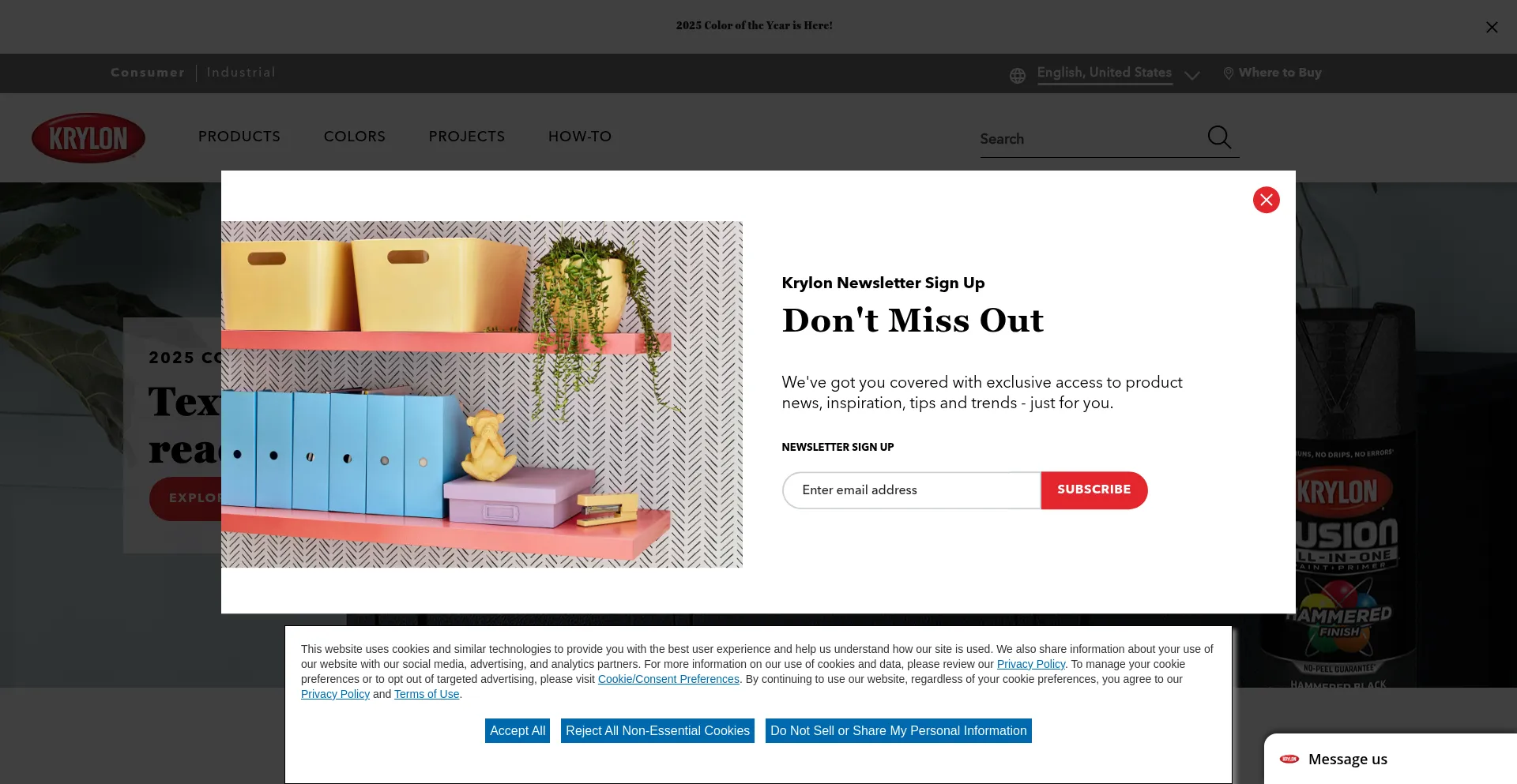 Website screenshot of Krylon.com