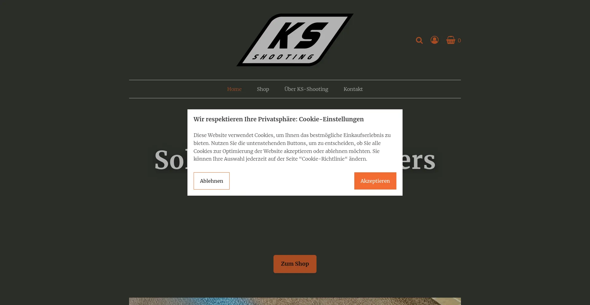 Is Ks-shooting.de Safe?