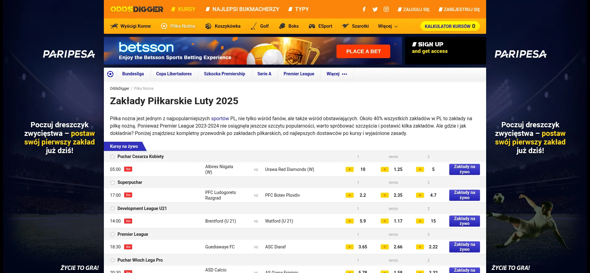 Website screenshot of Ksppolonia.com