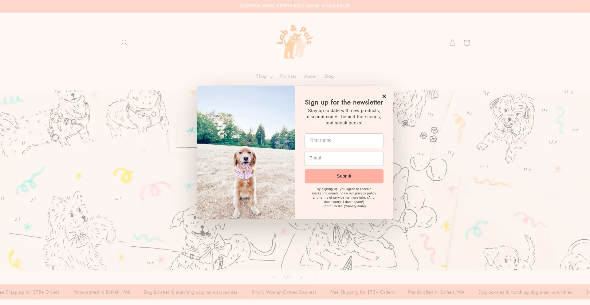 Website screenshot of Labandpals.com