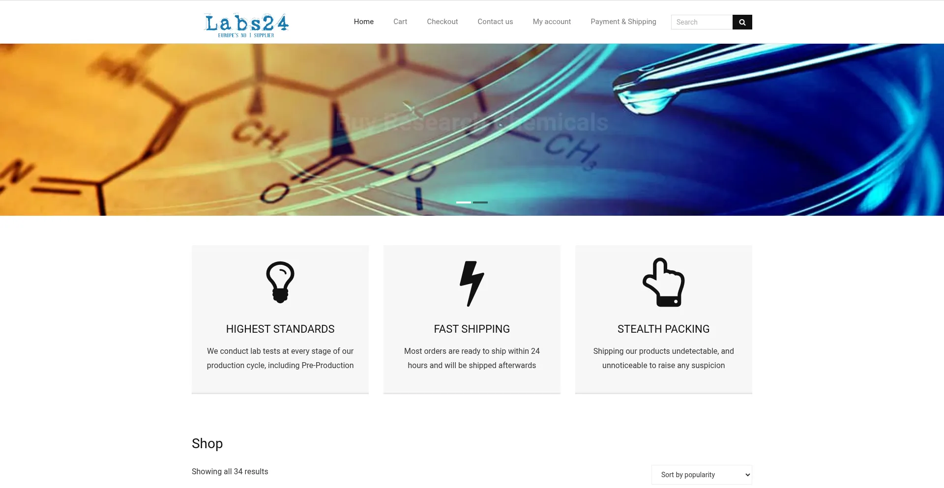 Website screenshot of Labs24.net