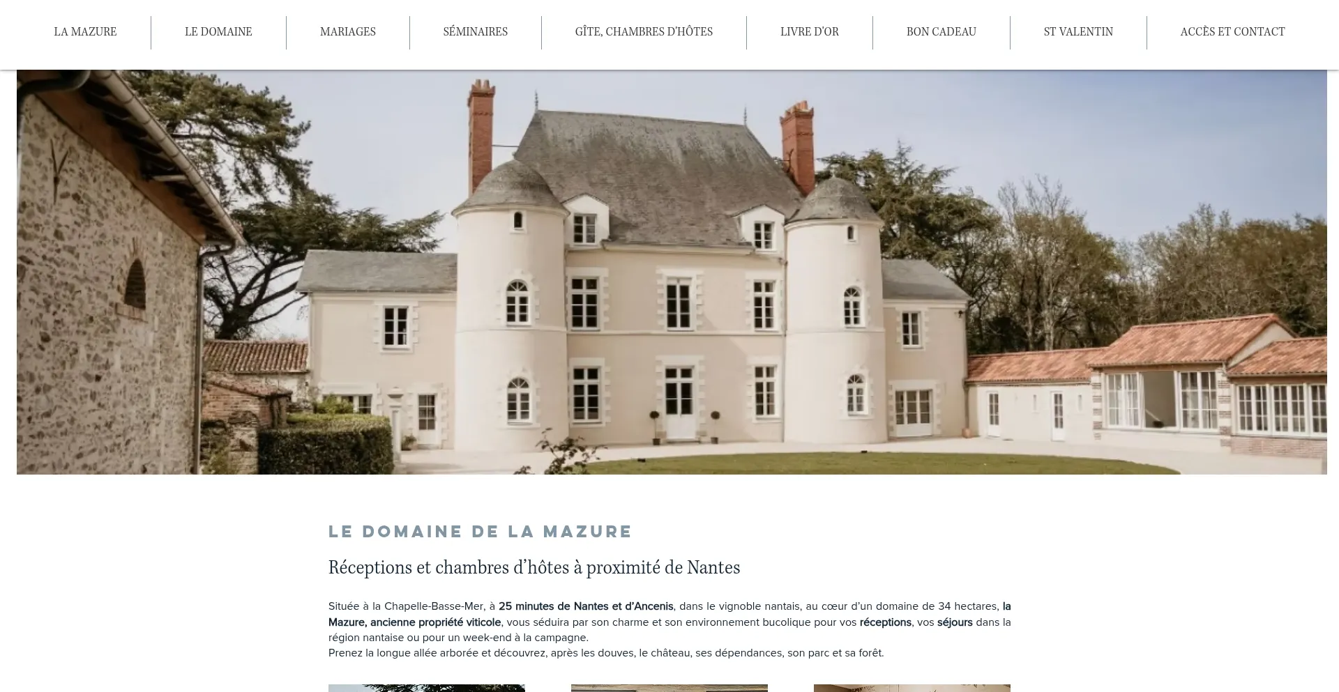 Website screenshot of Lamazure.fr
