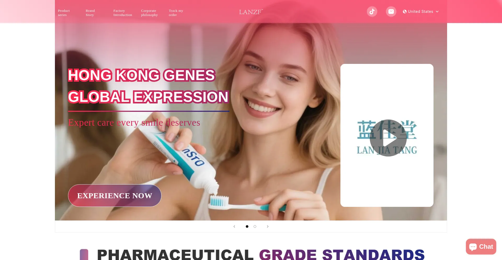 Website screenshot of Lannzf.com