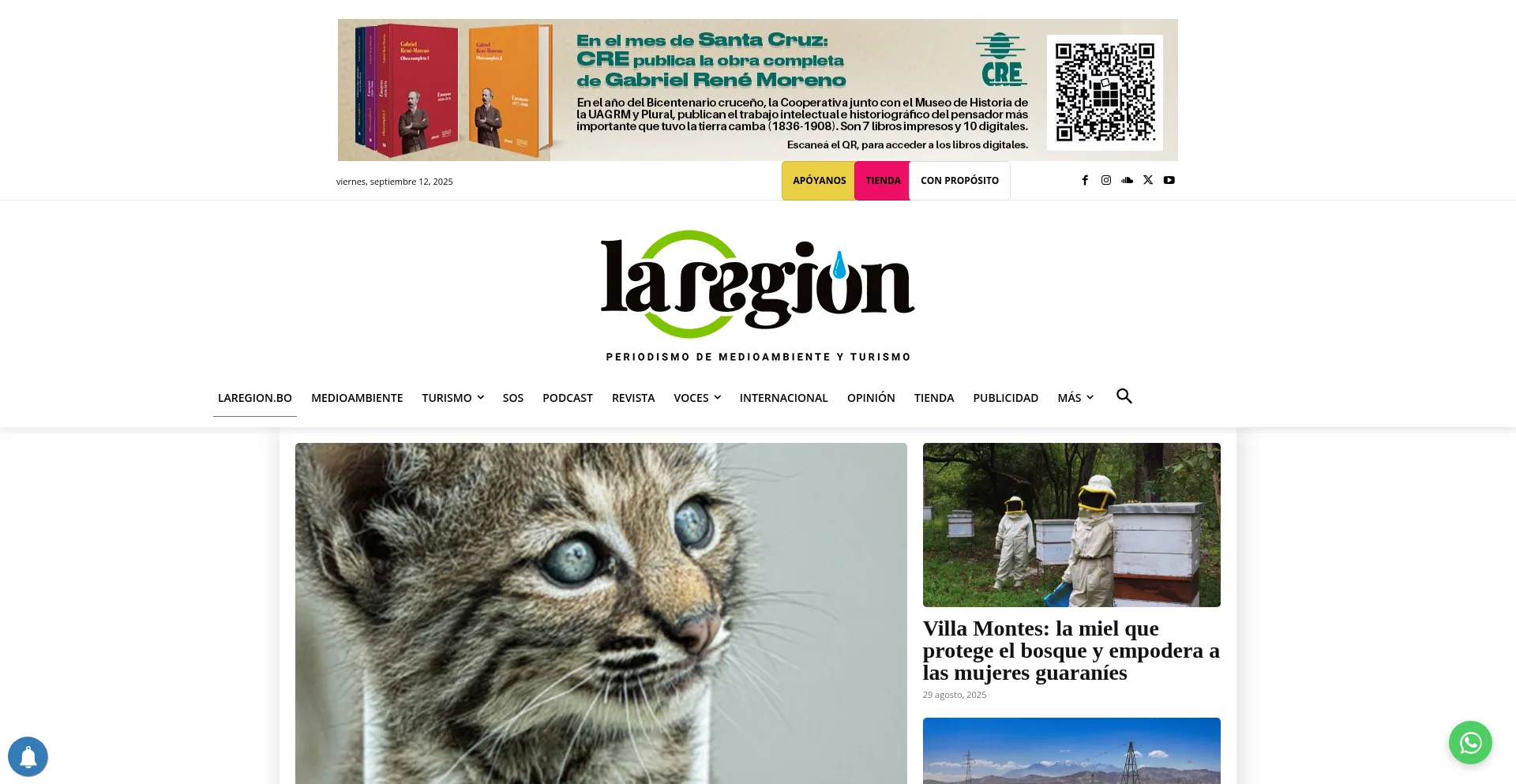 Is Laregion.bo Safe?