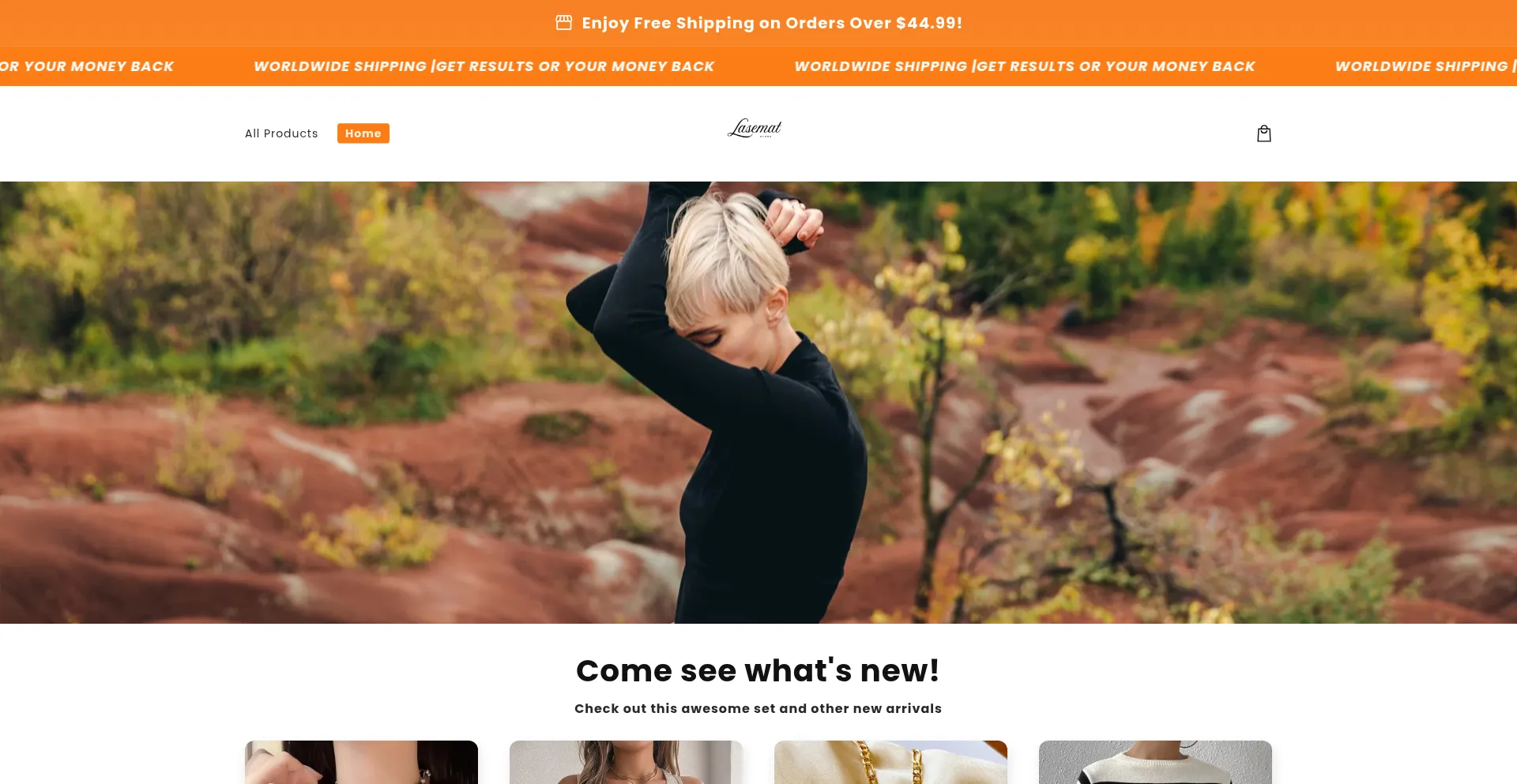 Website screenshot of Lasematstore.com