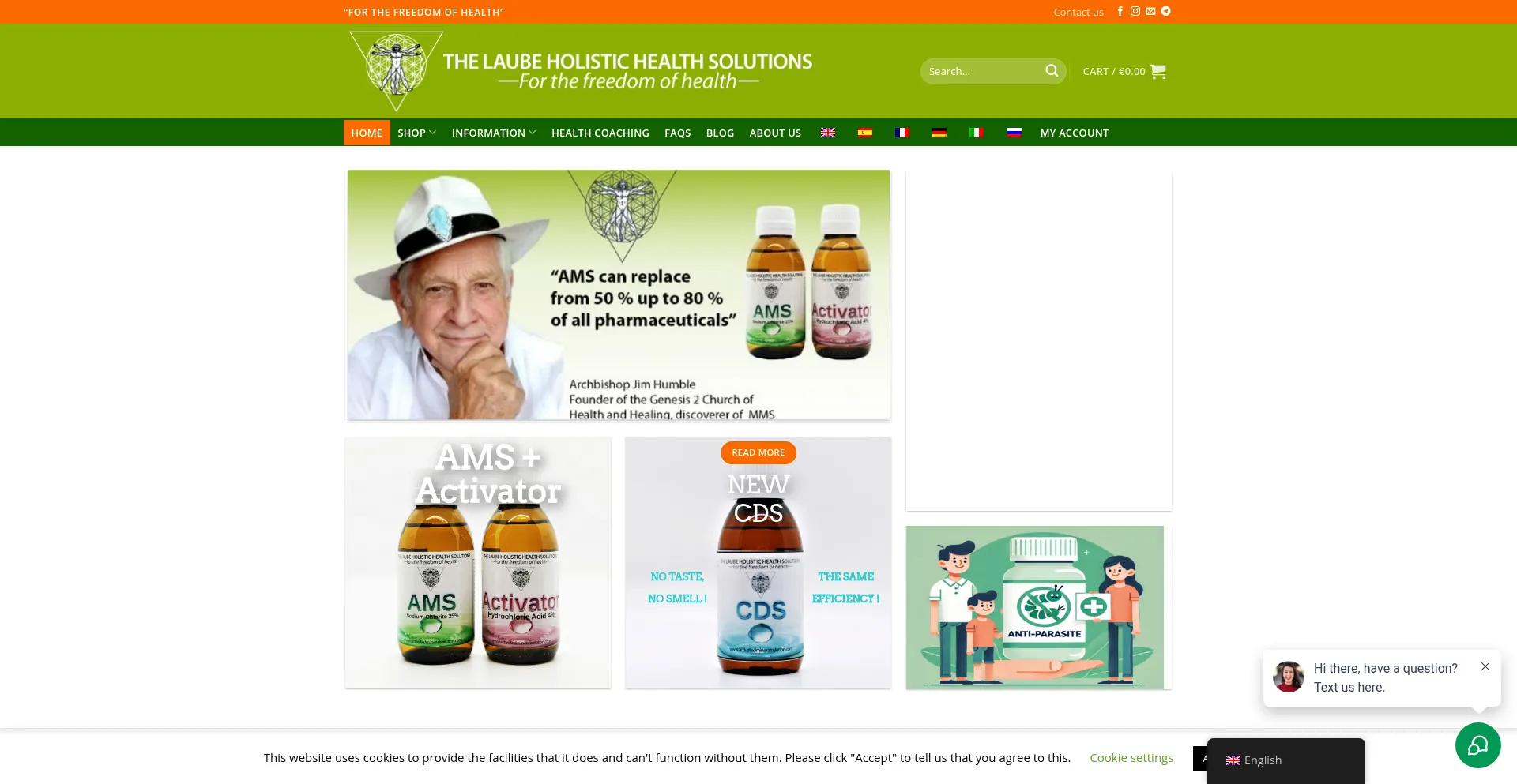 Website screenshot of Laubeholistic.com