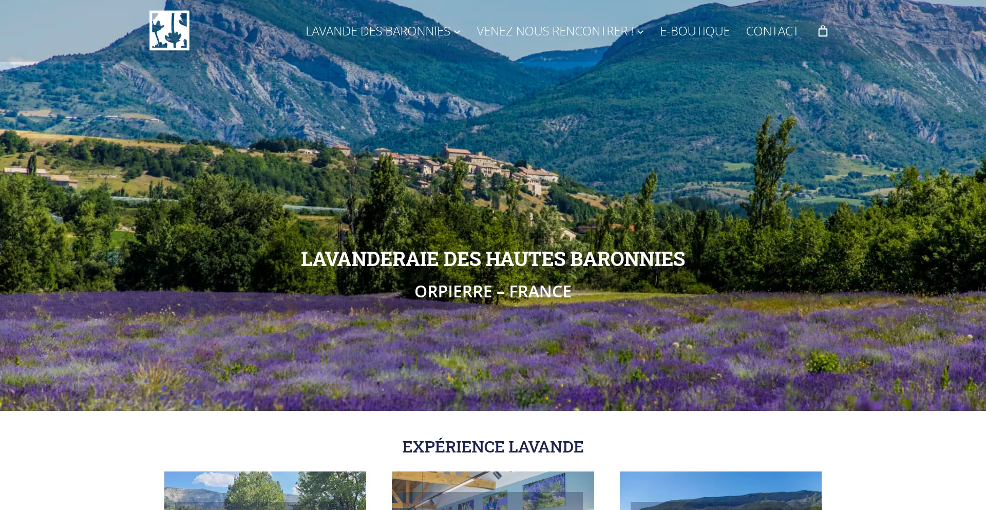 Website screenshot of Lavande-orpierre.com