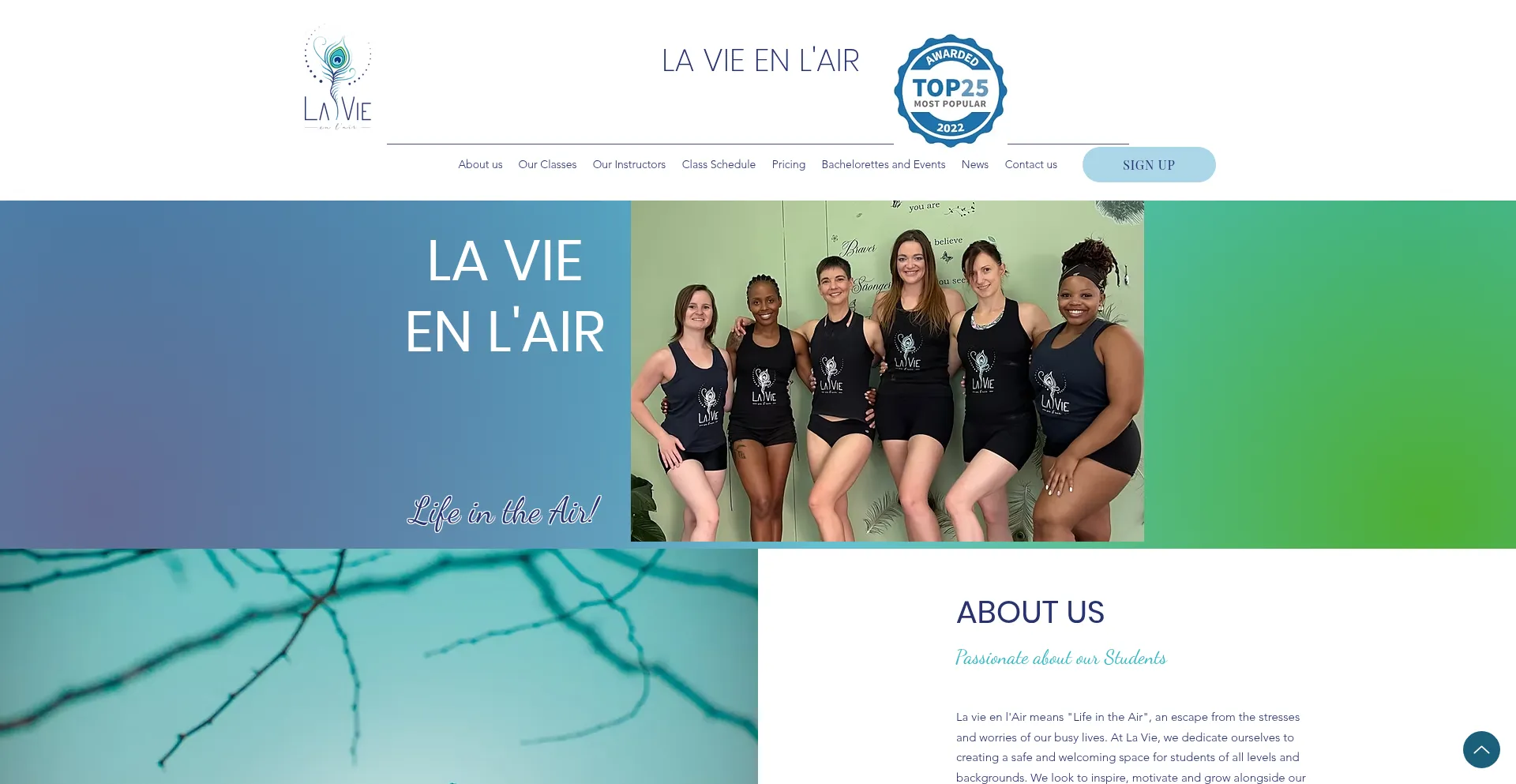 Website screenshot of Lavieenlair.co.za