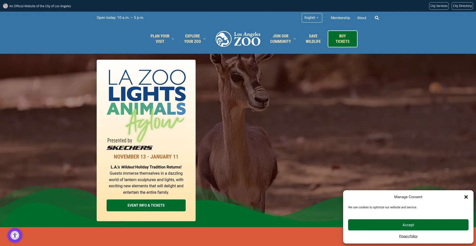 Lazoo.org