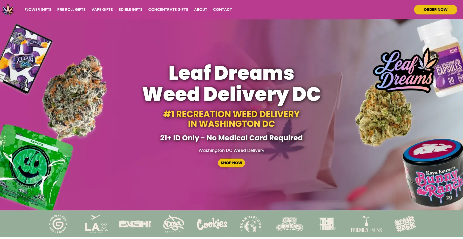 Website screenshot of Leafdreamsdc.com