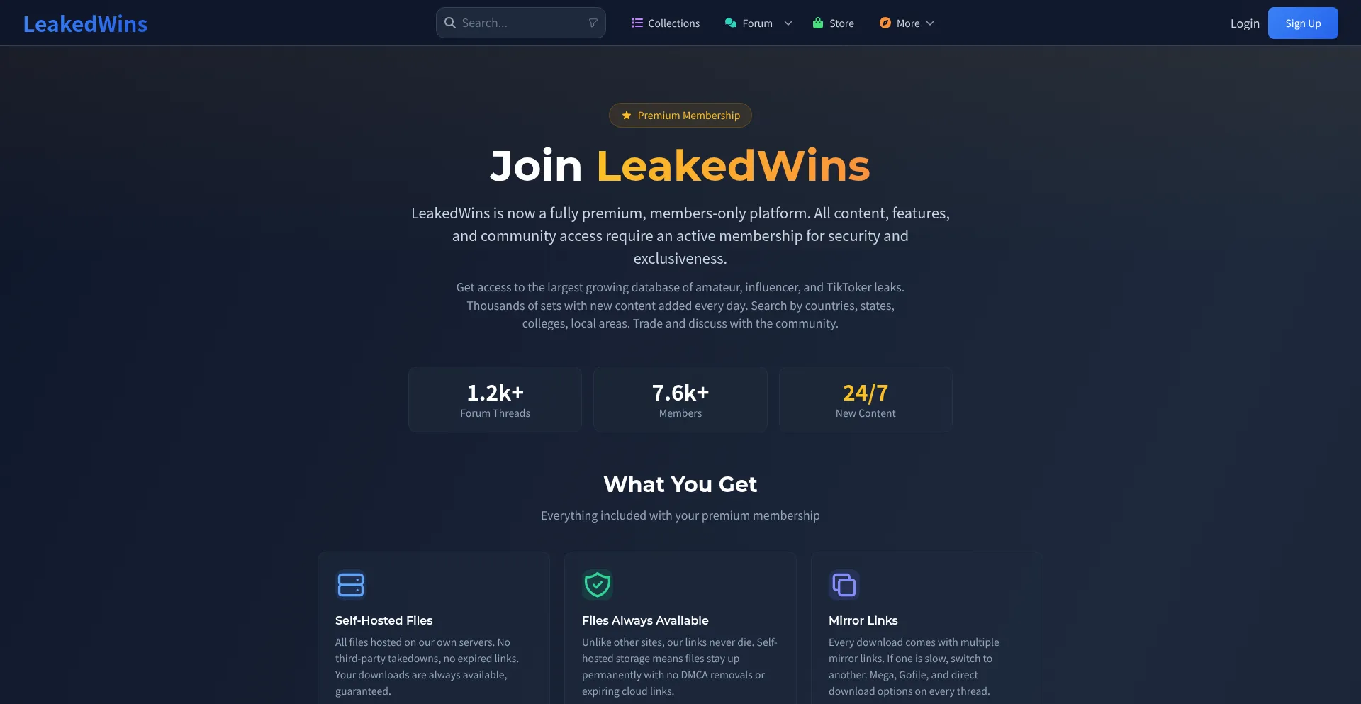 Leakedwins.com