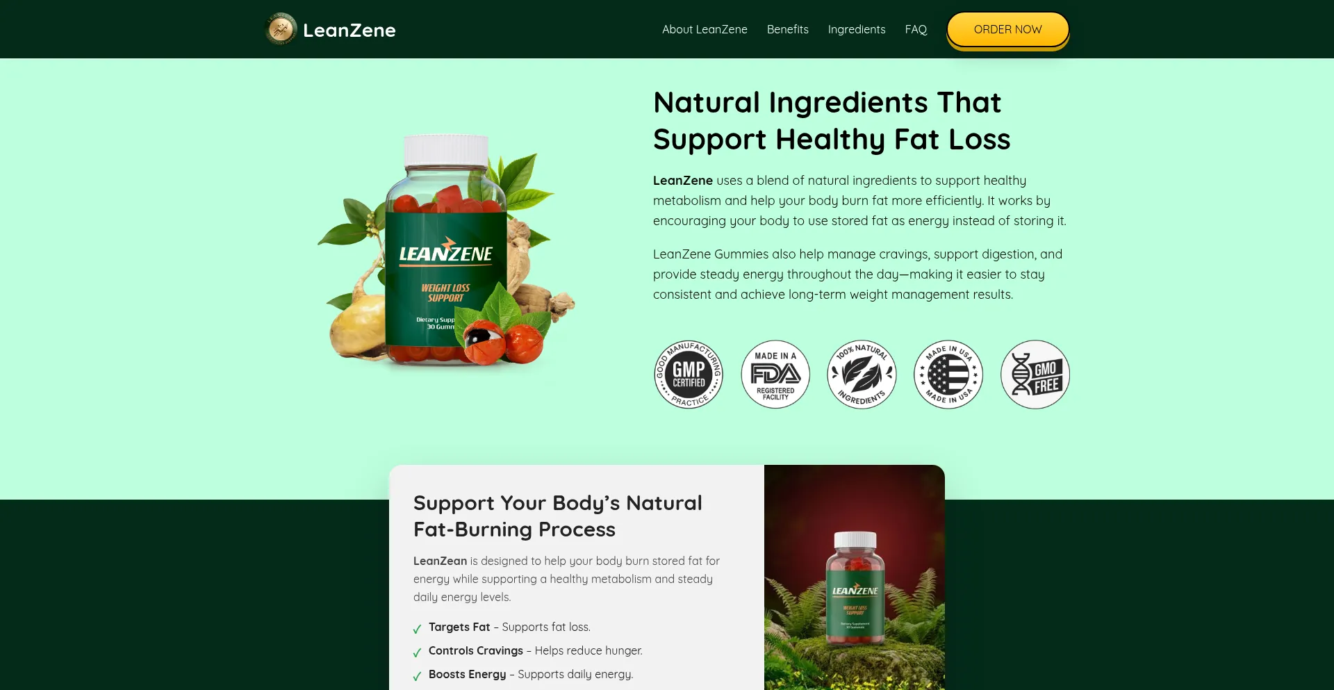 Lean--zene.com
