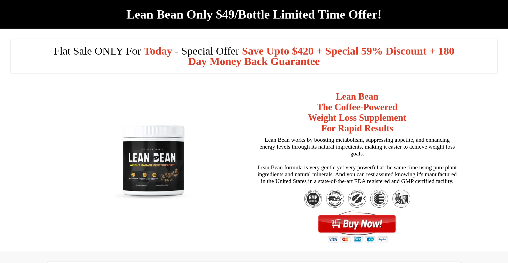 Website screenshot of Leanbean.net
