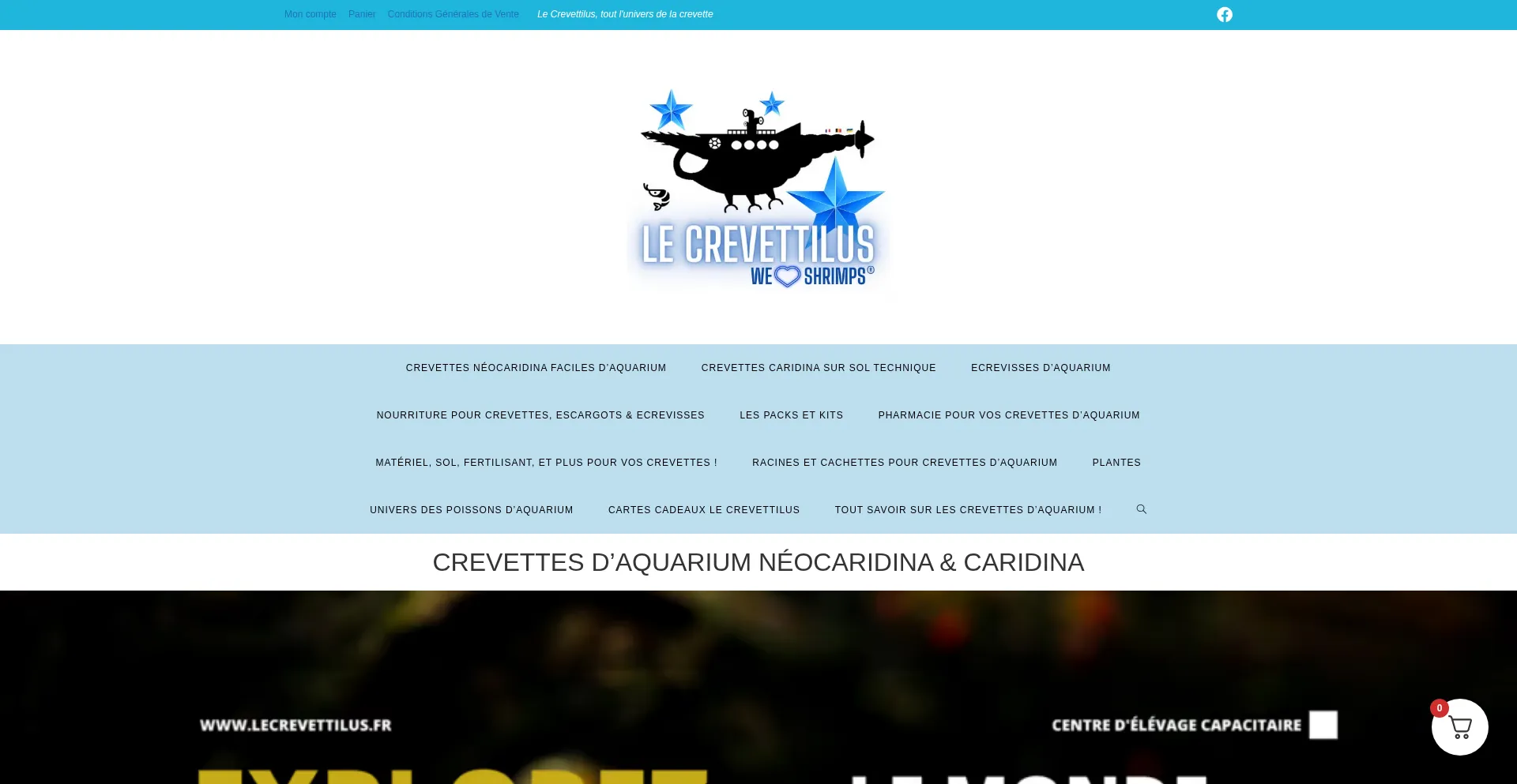 Lecrevettilus.fr