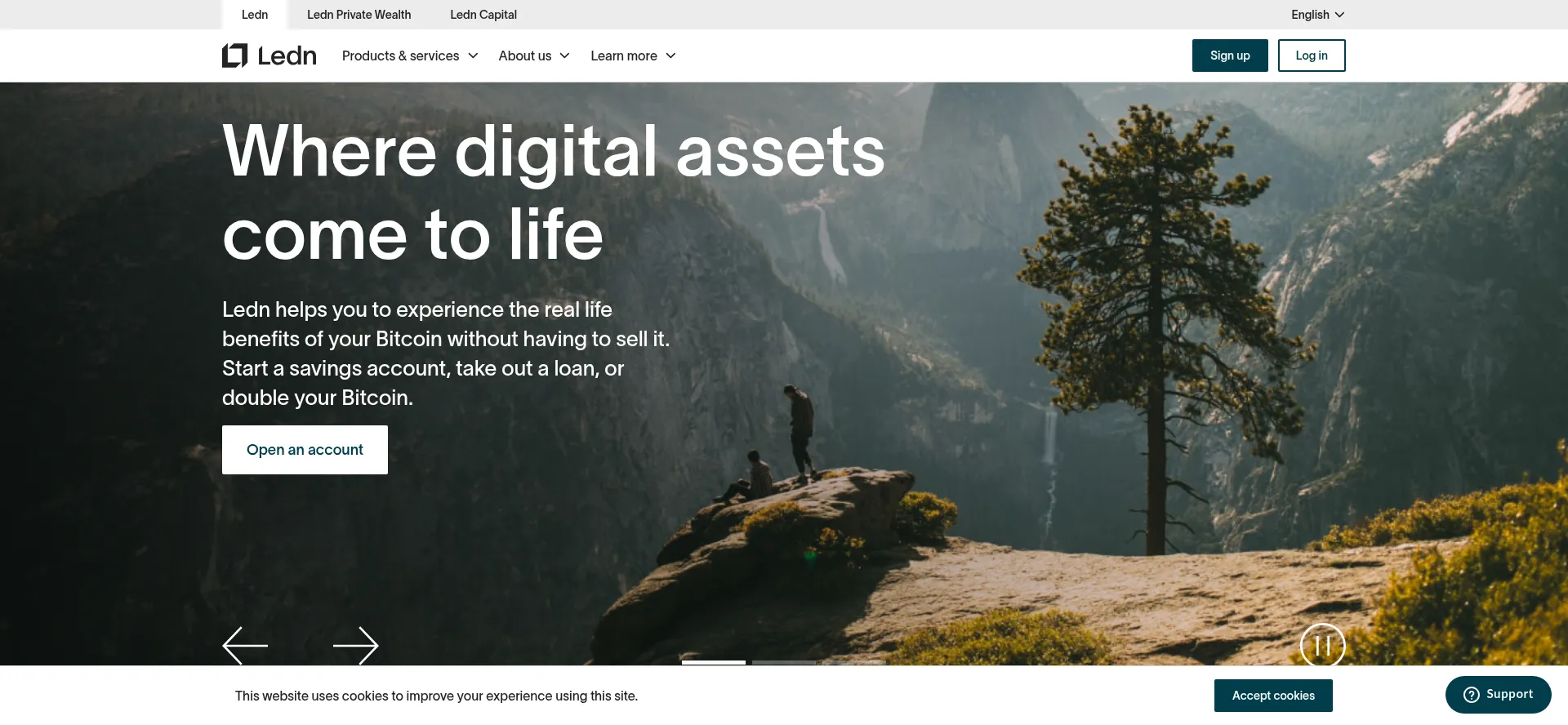 Website screenshot of Ledn.io