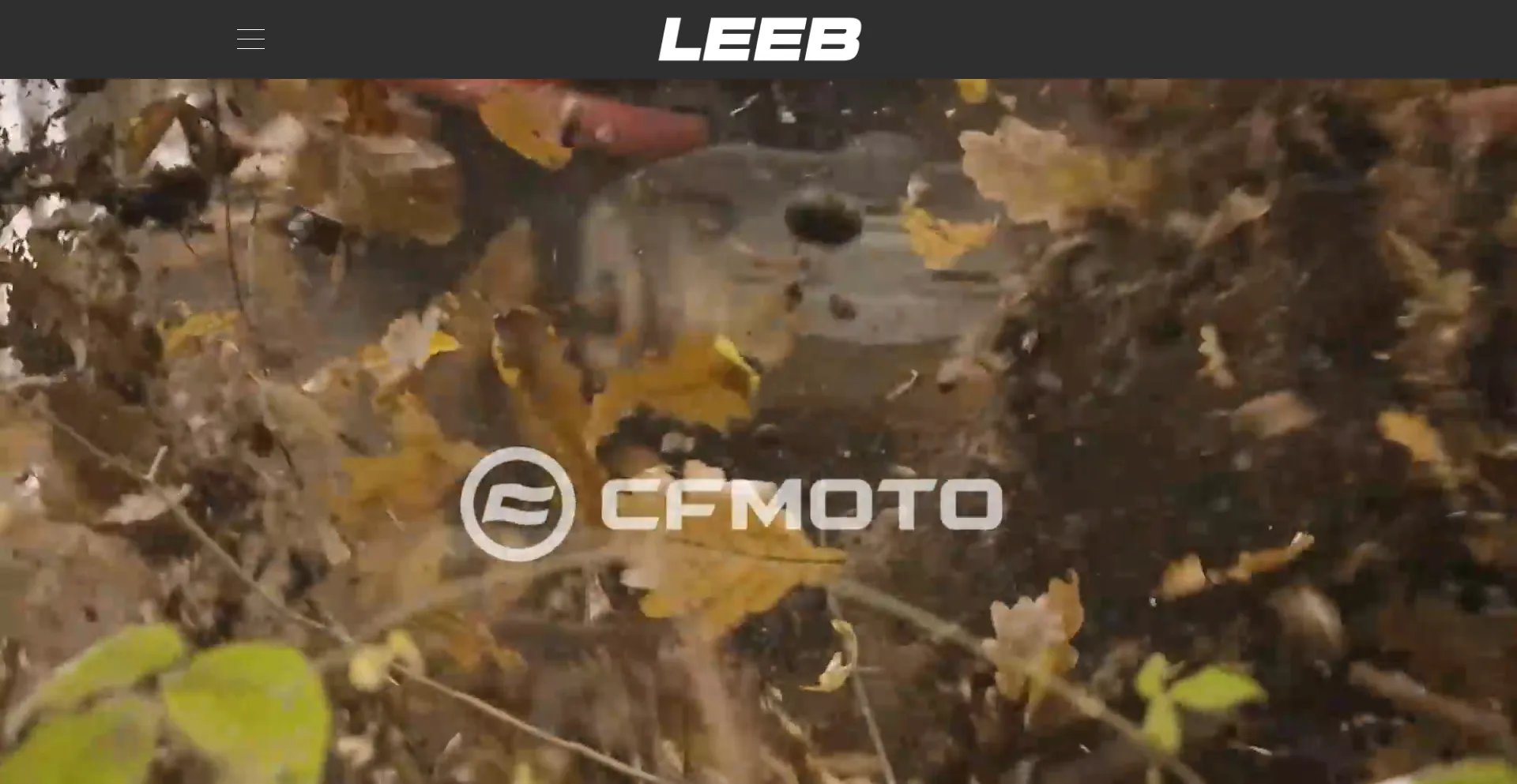 Leeb-motor.com