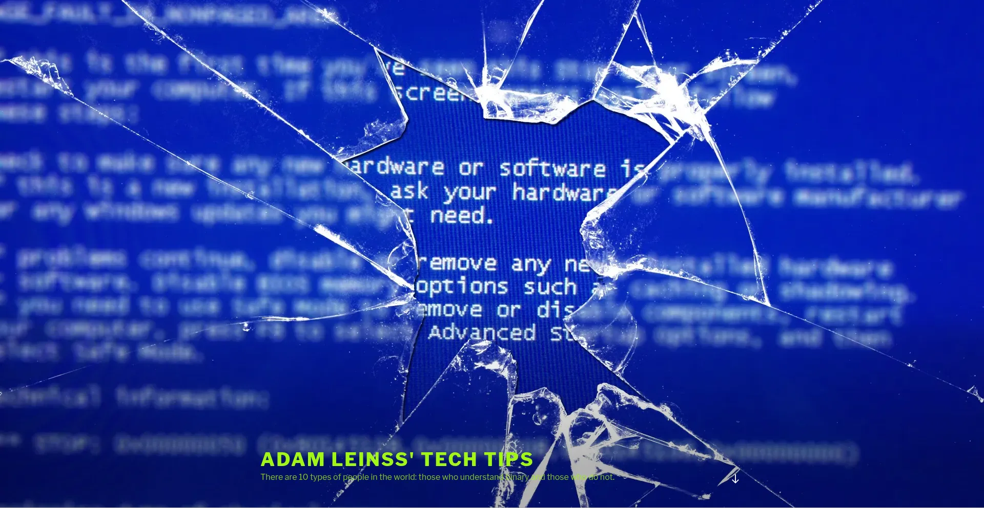 Leinss.com