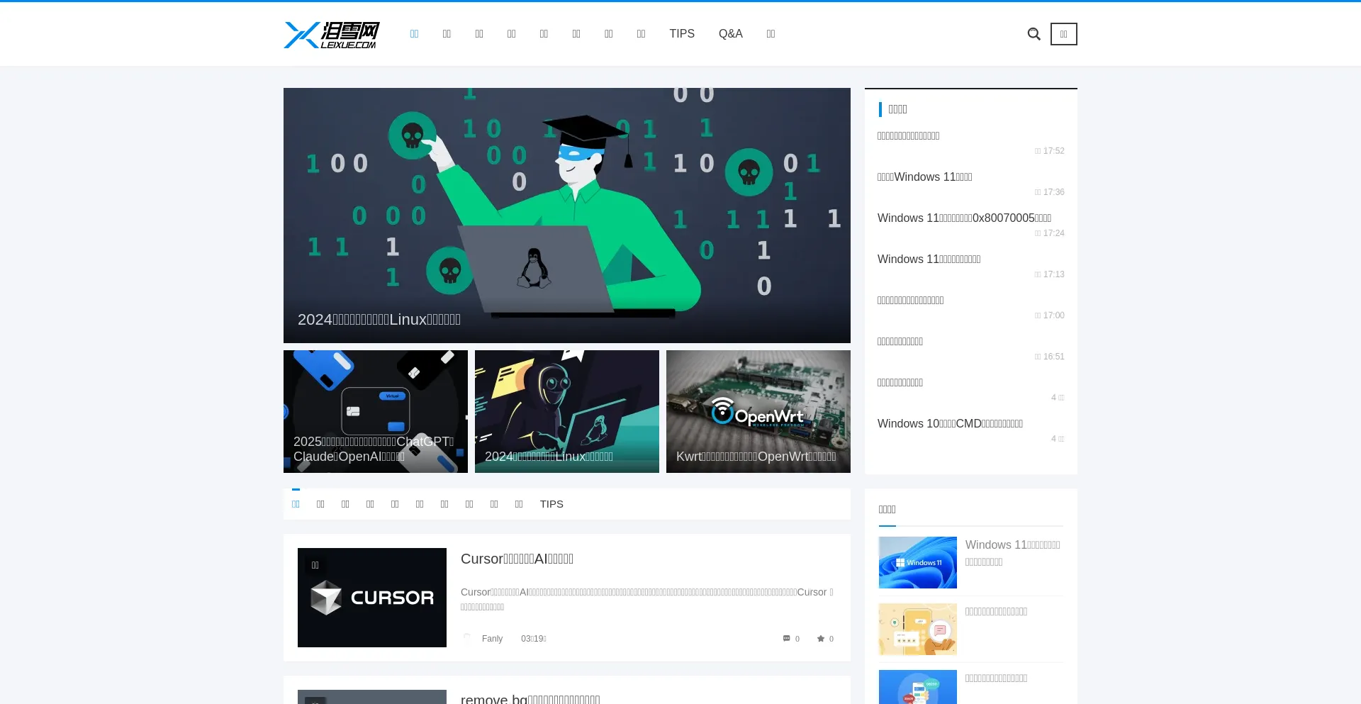 Website screenshot of Leixue.com