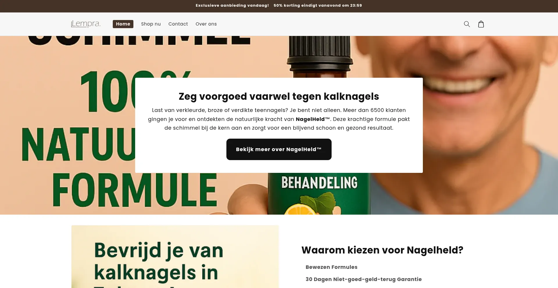 Website screenshot of Lempra.nl