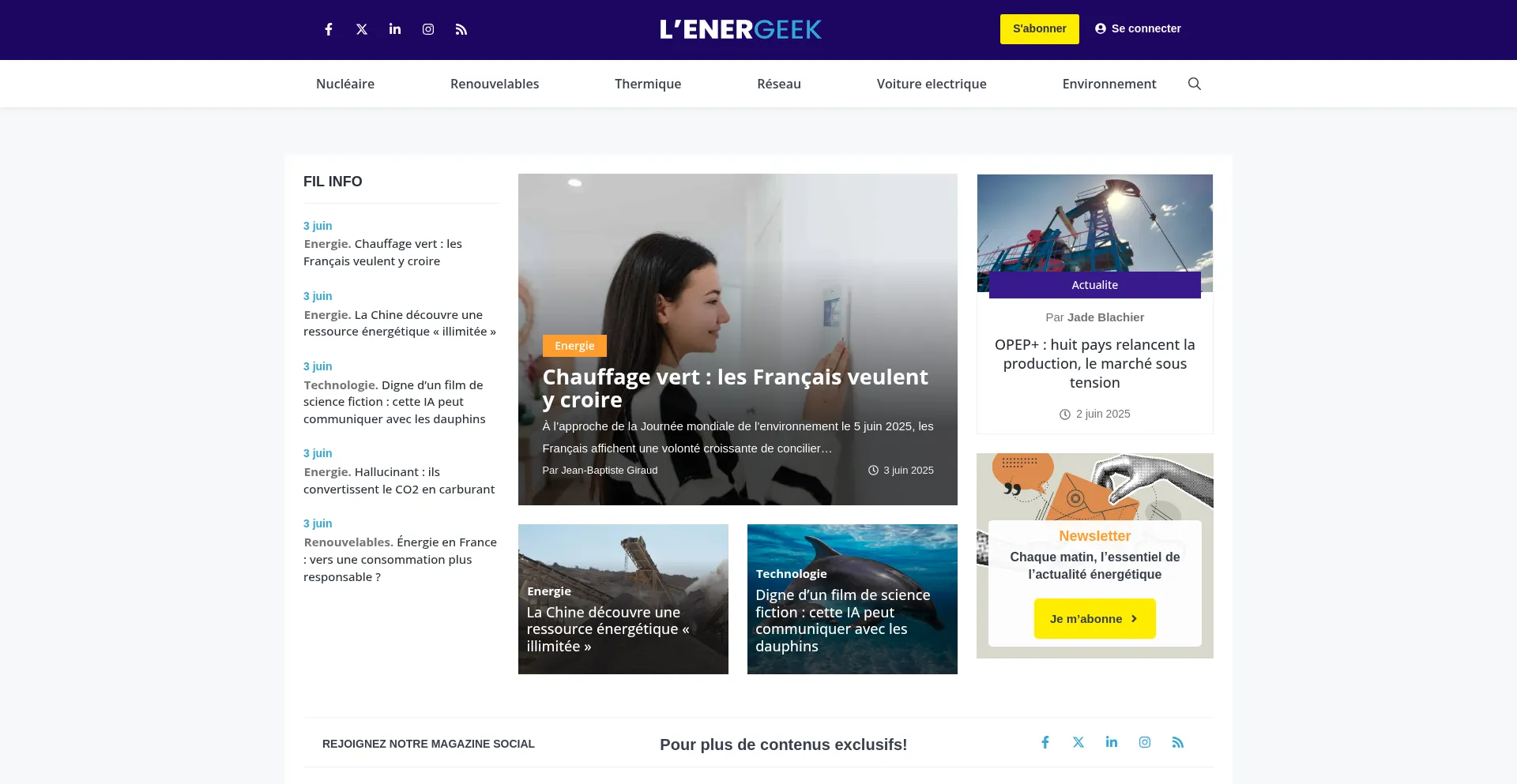 Website screenshot of Lenergeek.com