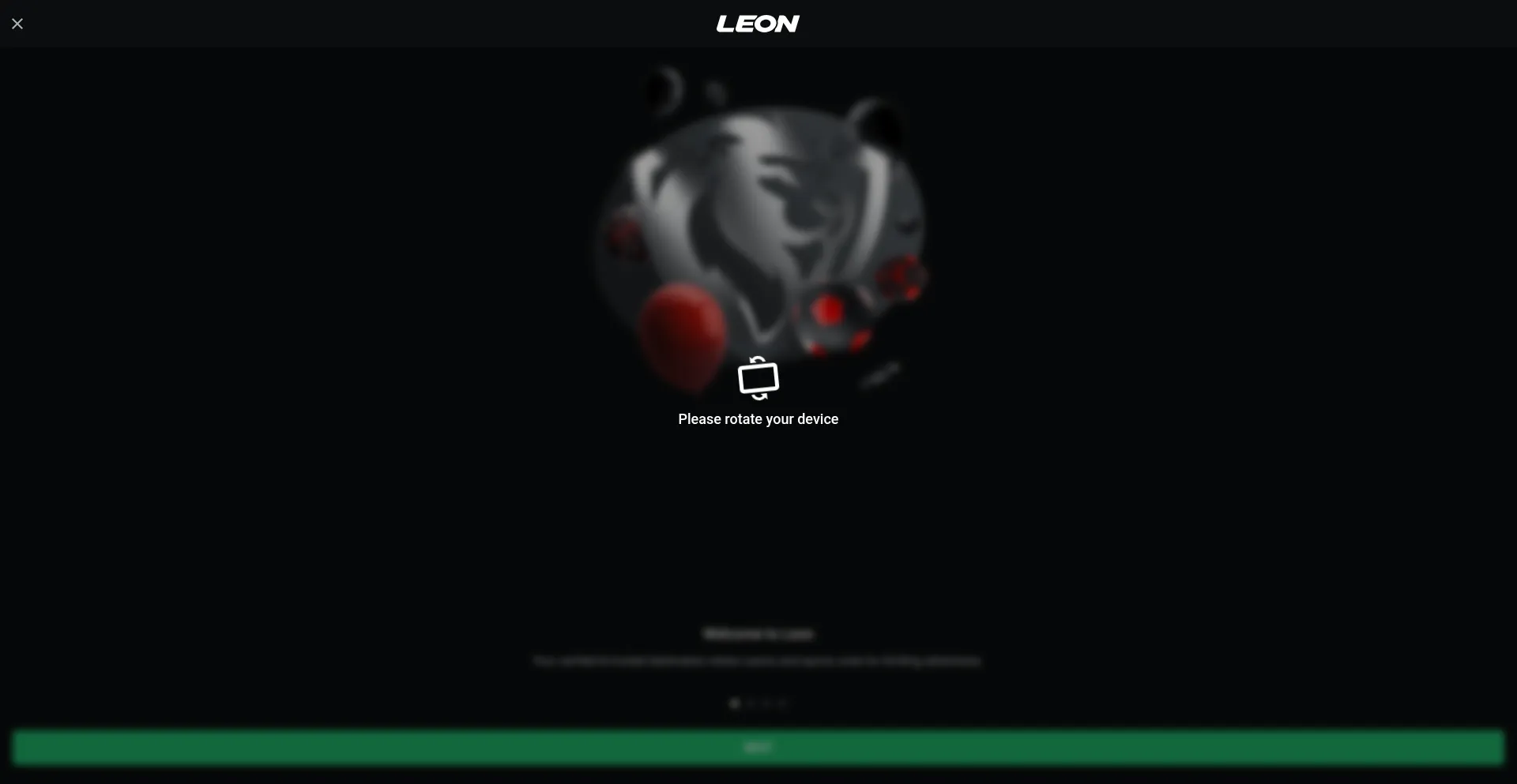Leon309.casino