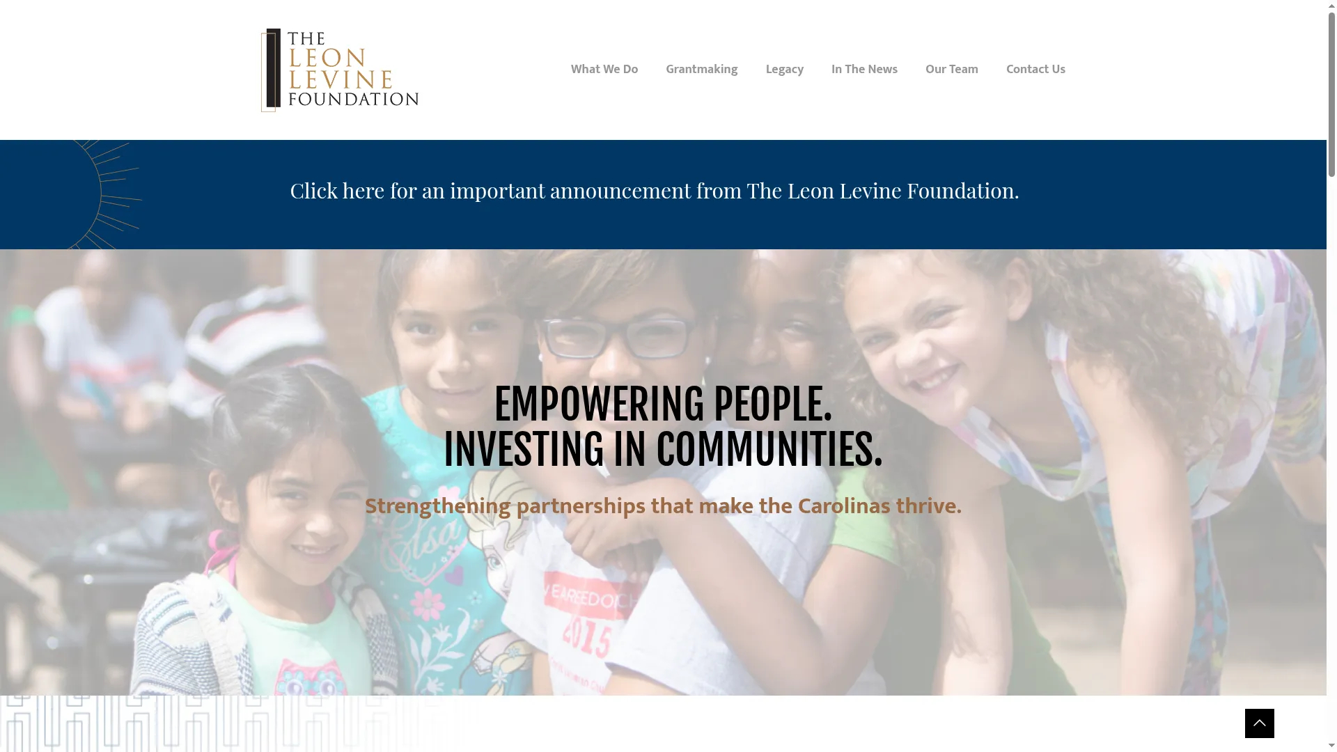 Leonlevinefoundation.org
