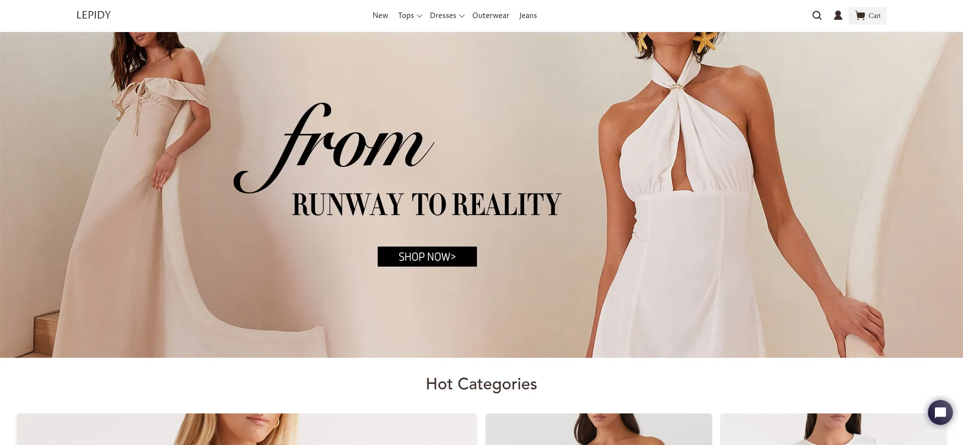 Website screenshot of Lepidy.com