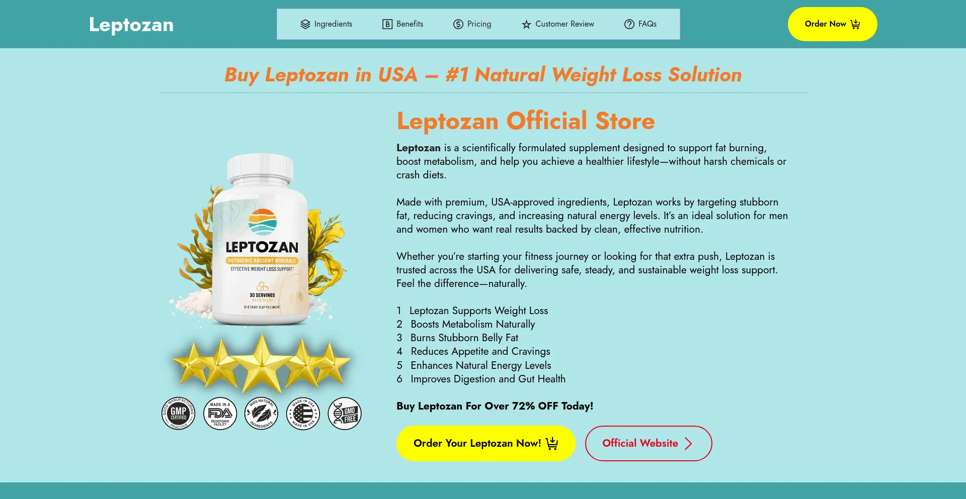 Website screenshot of Leptozan-usa.us