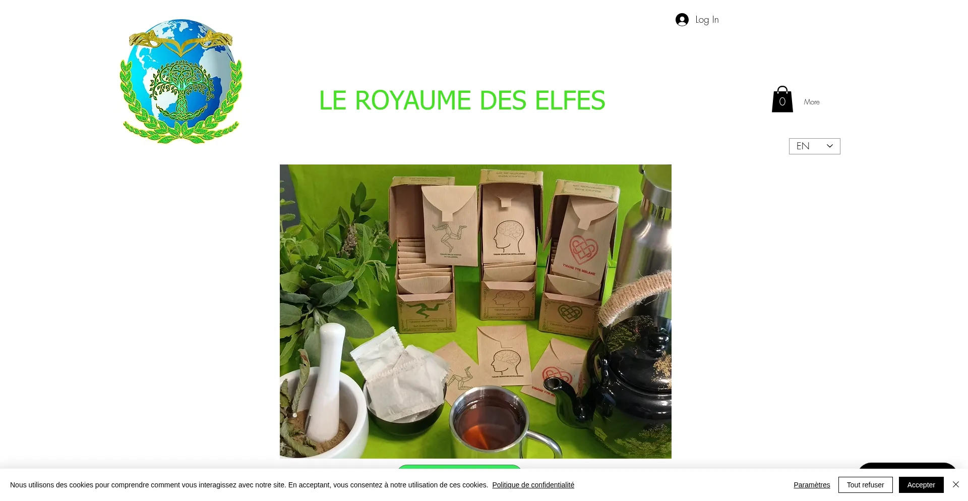Is Leroyaumedeselfes.fr Safe?
