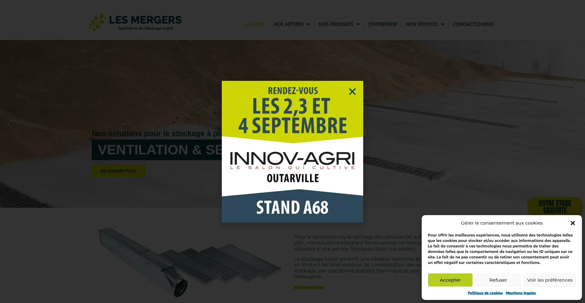 Website screenshot of Lesmergers.fr