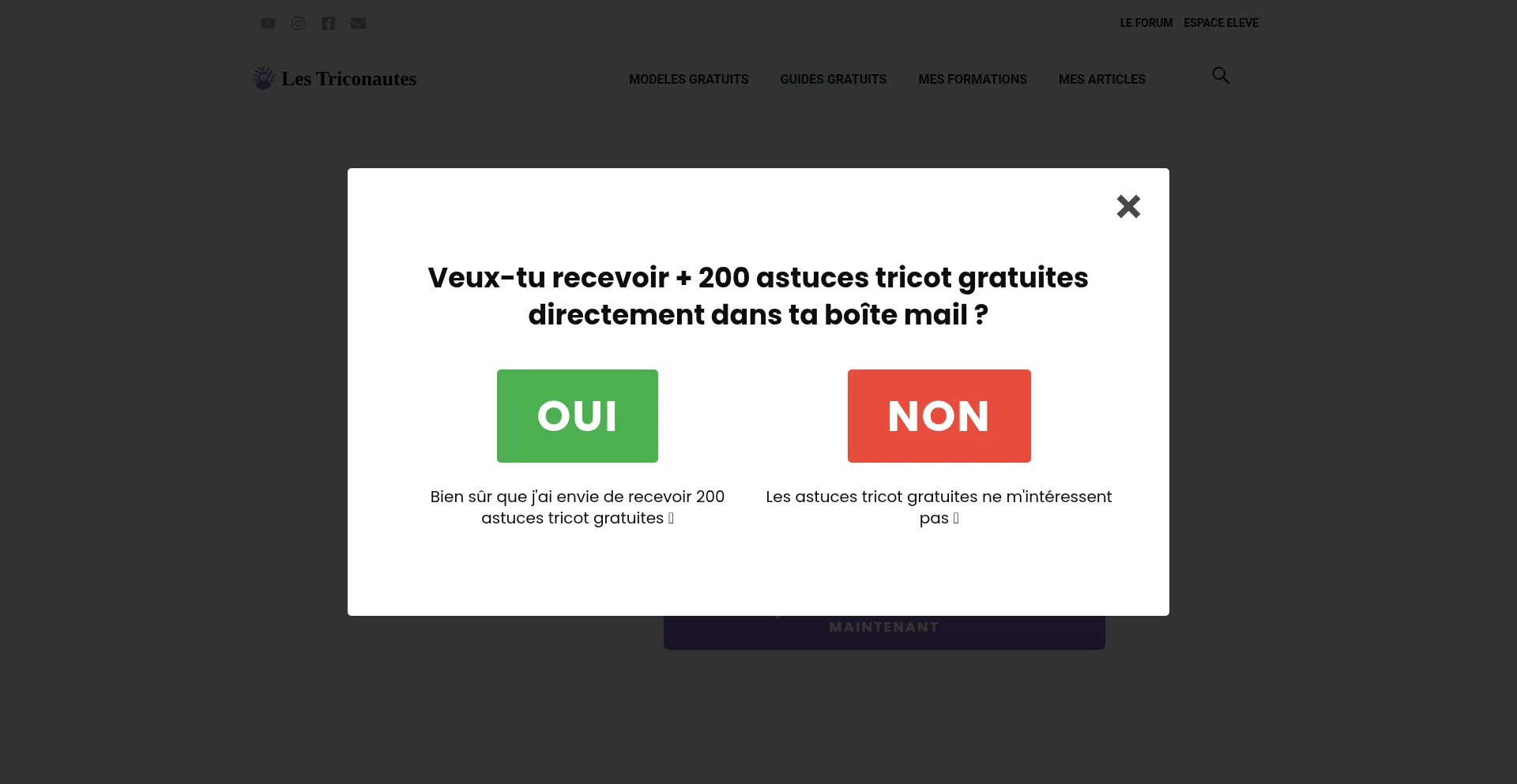 Lestriconautes.com Screenshot