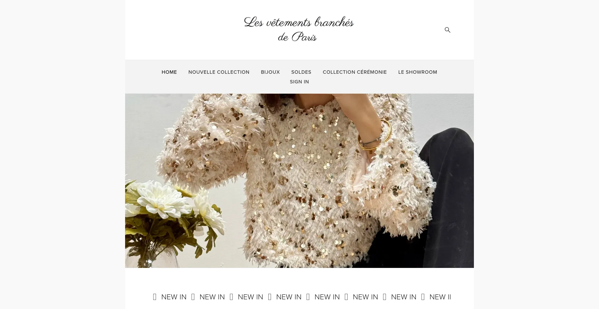 Website screenshot of Lesvetementsbranchesdeparis.com