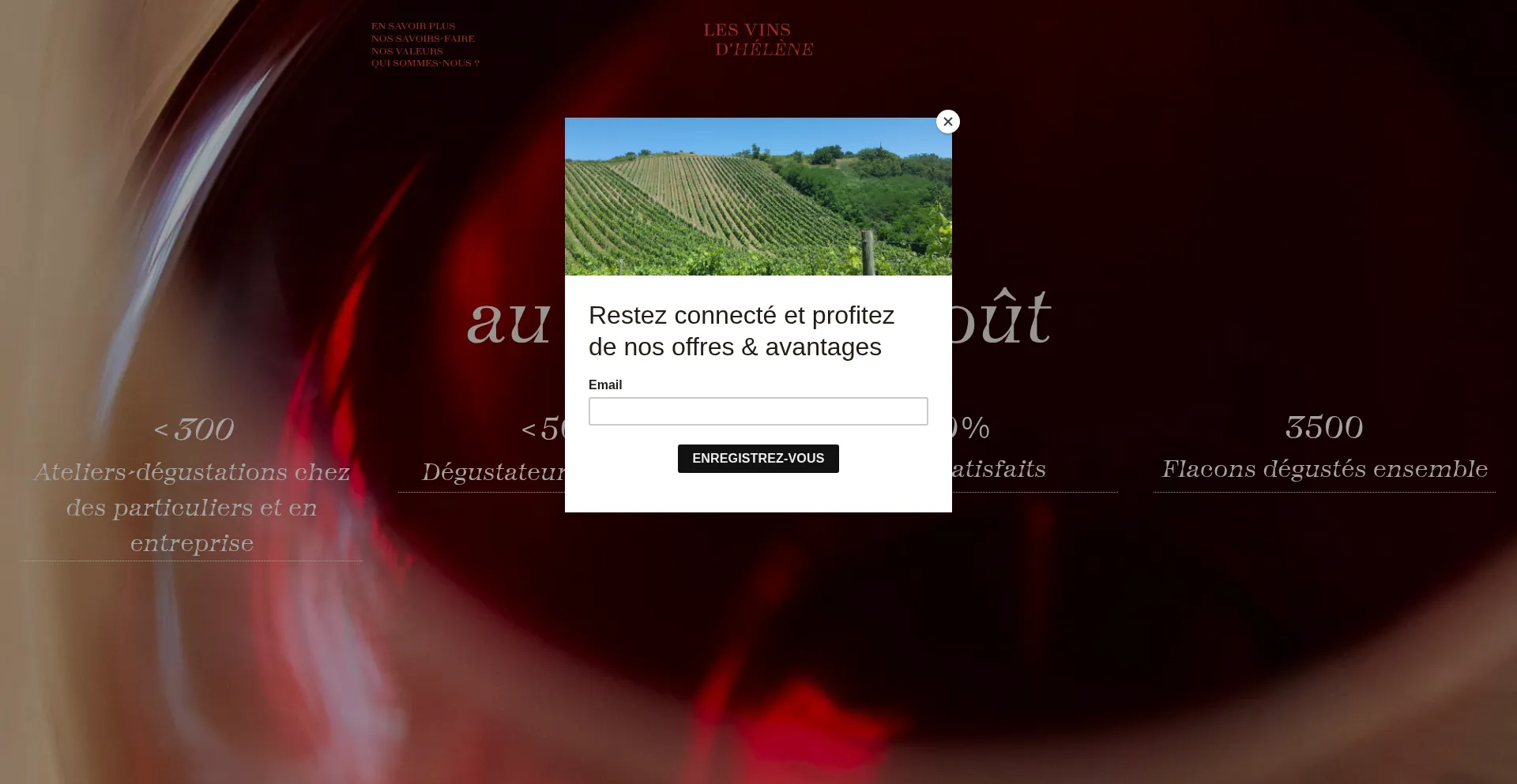 Is Lesvinsdhelene.com Safe?