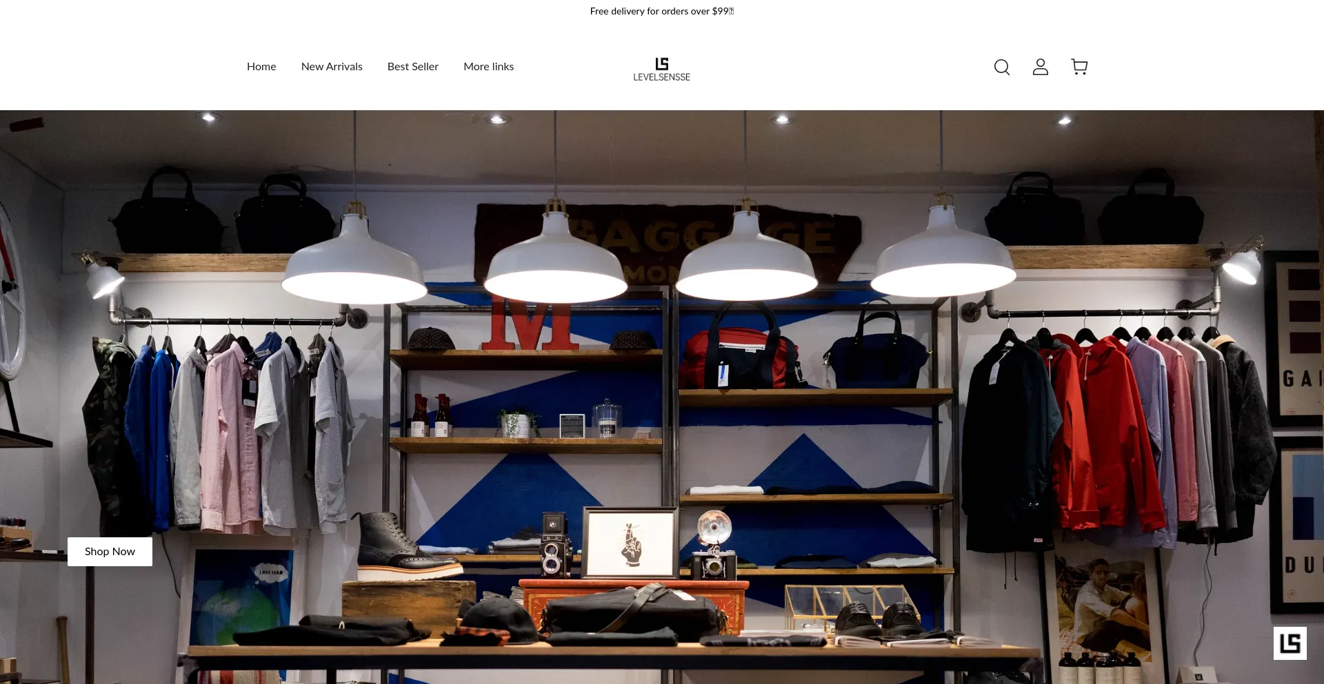 Website screenshot of Levelsensse.com