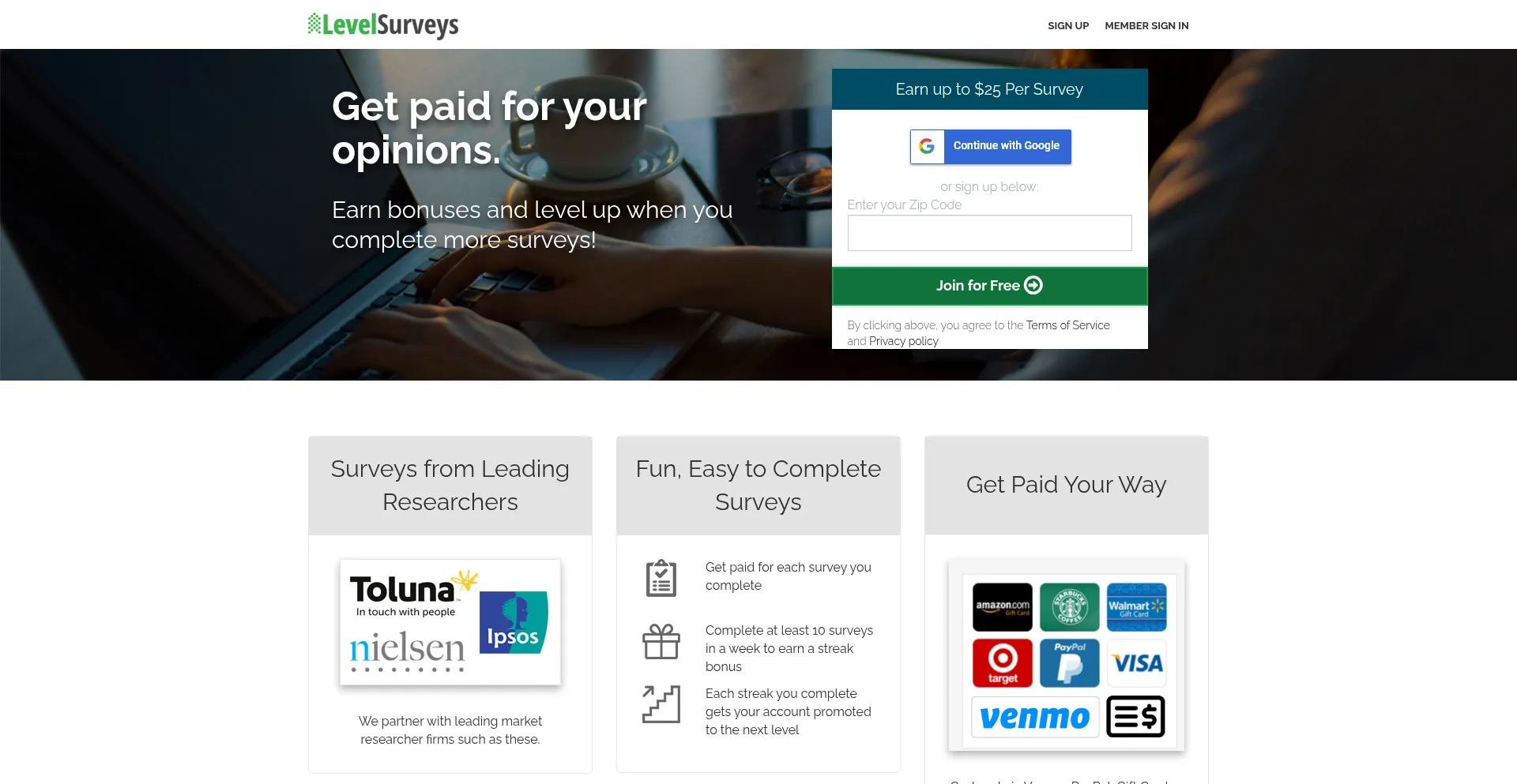 Website screenshot of Levelsurveys.com