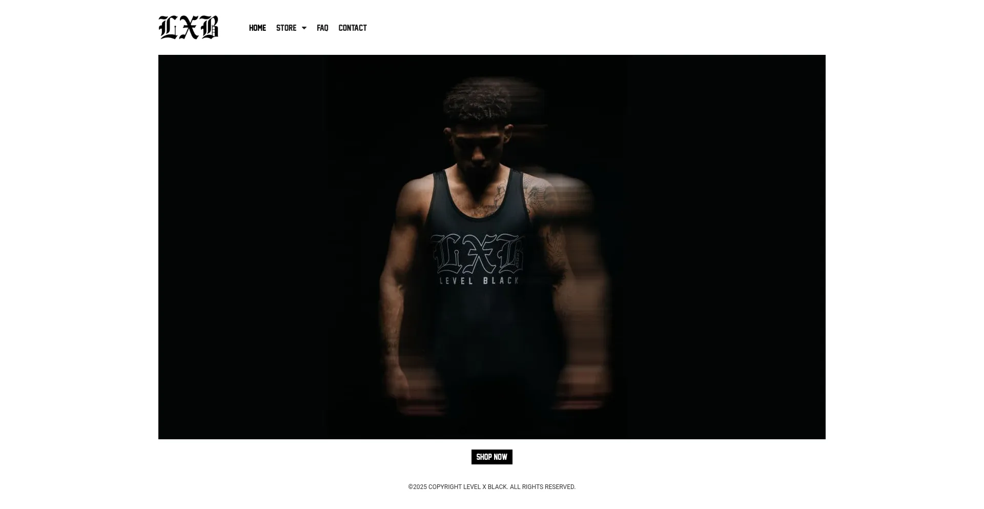 Levelxblack.com Screenshot