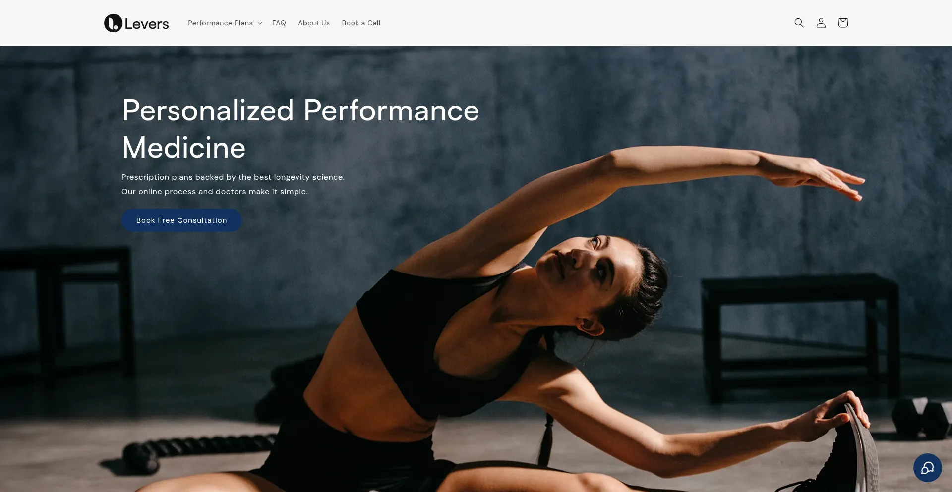 Website screenshot of Levers.health