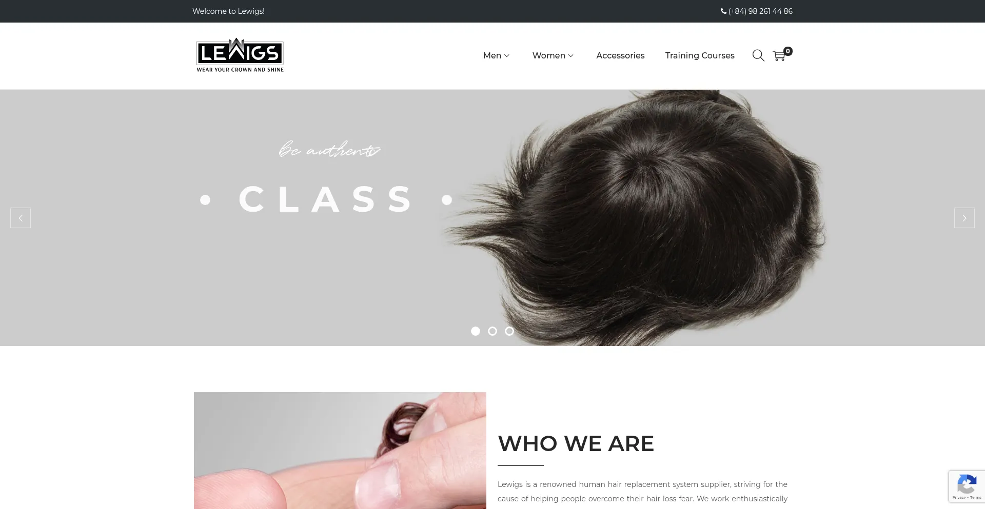 Lewigs.com Screenshot