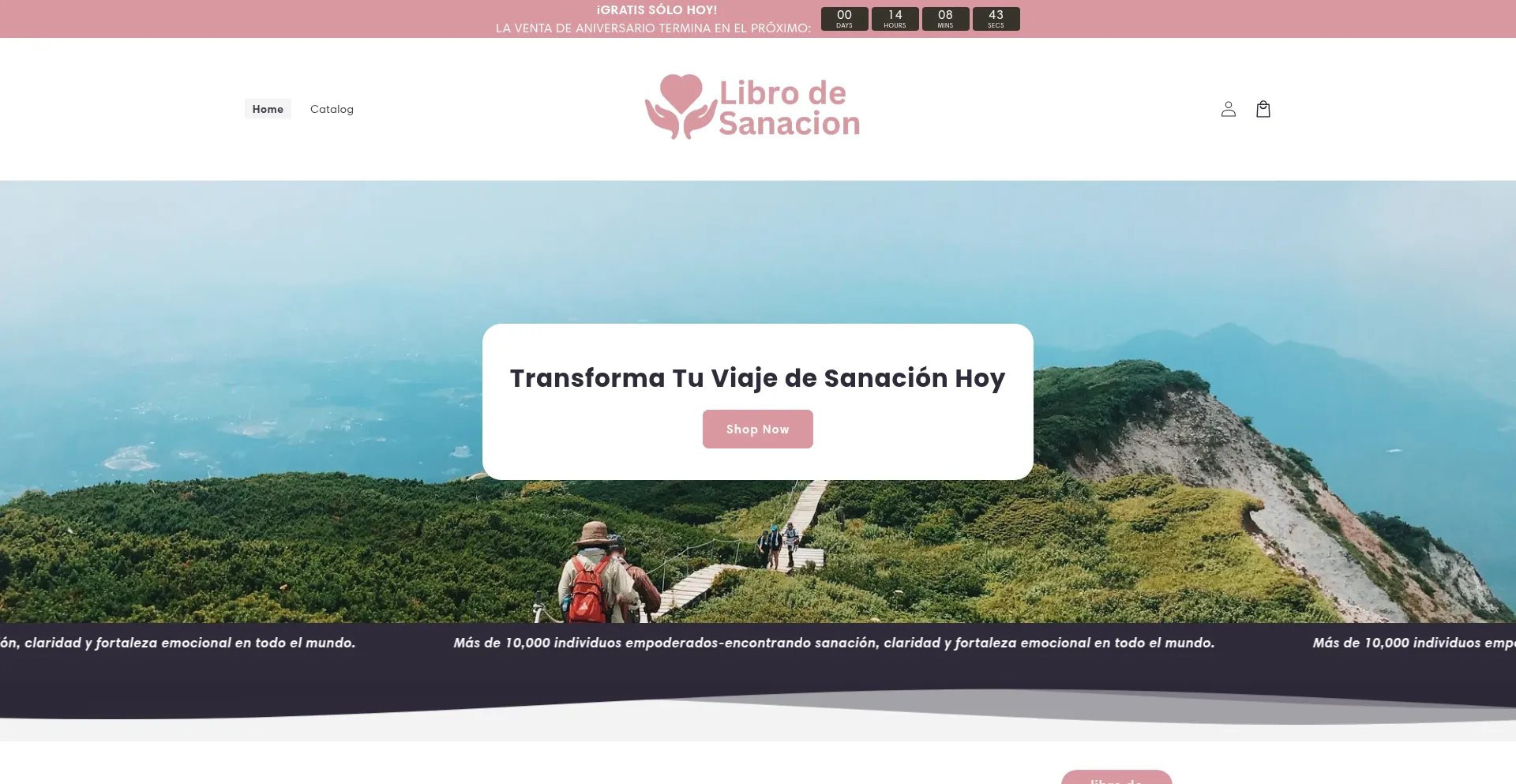 Website screenshot of Librodesanacion.com