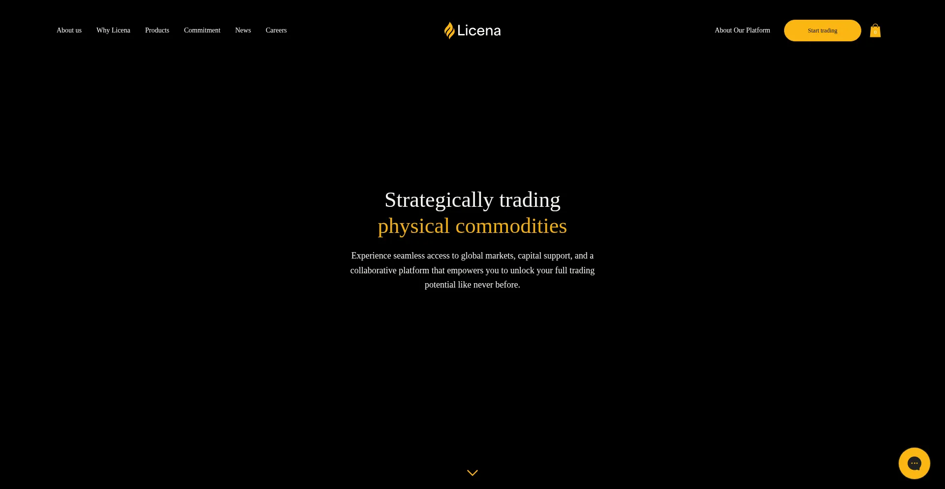Website screenshot of Licenagroup.com