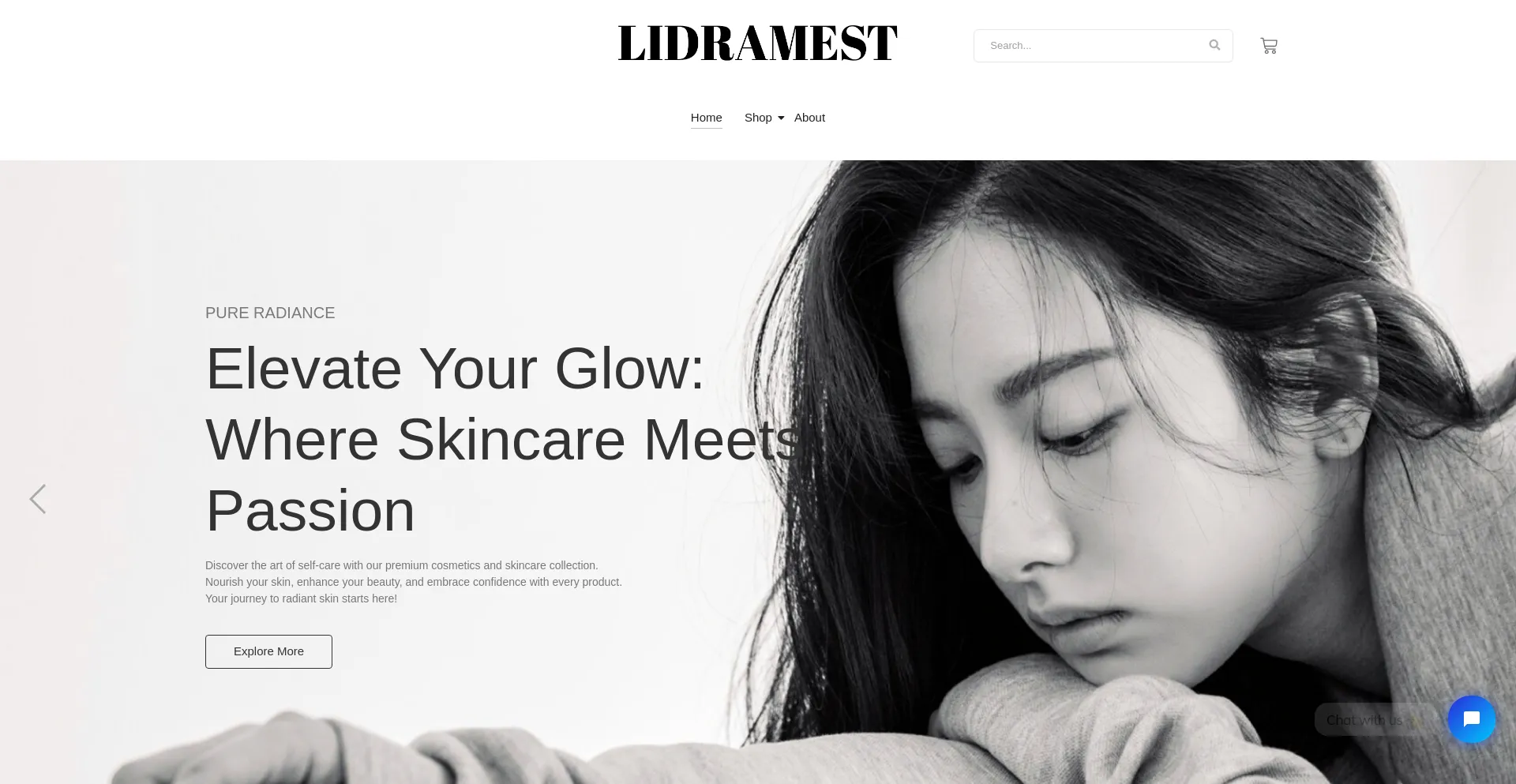 Website screenshot of Lidramest.com