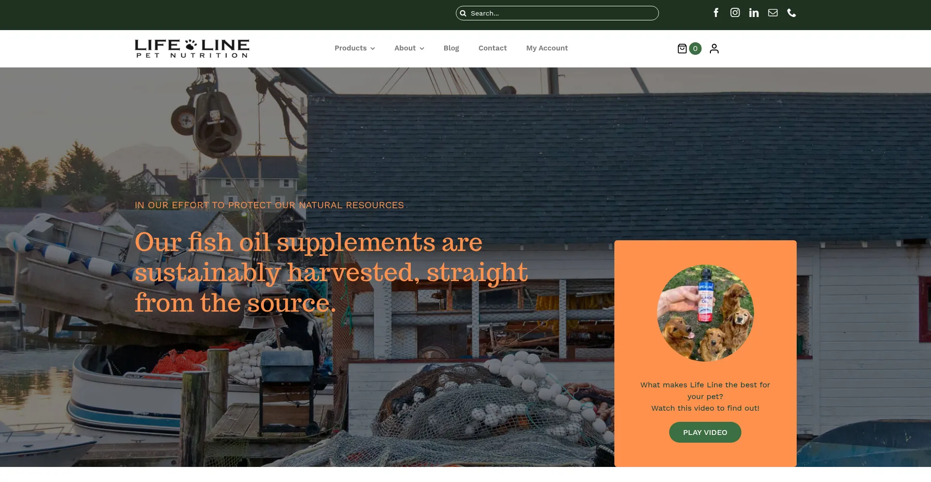 Is Lifelinepet.com Safe?