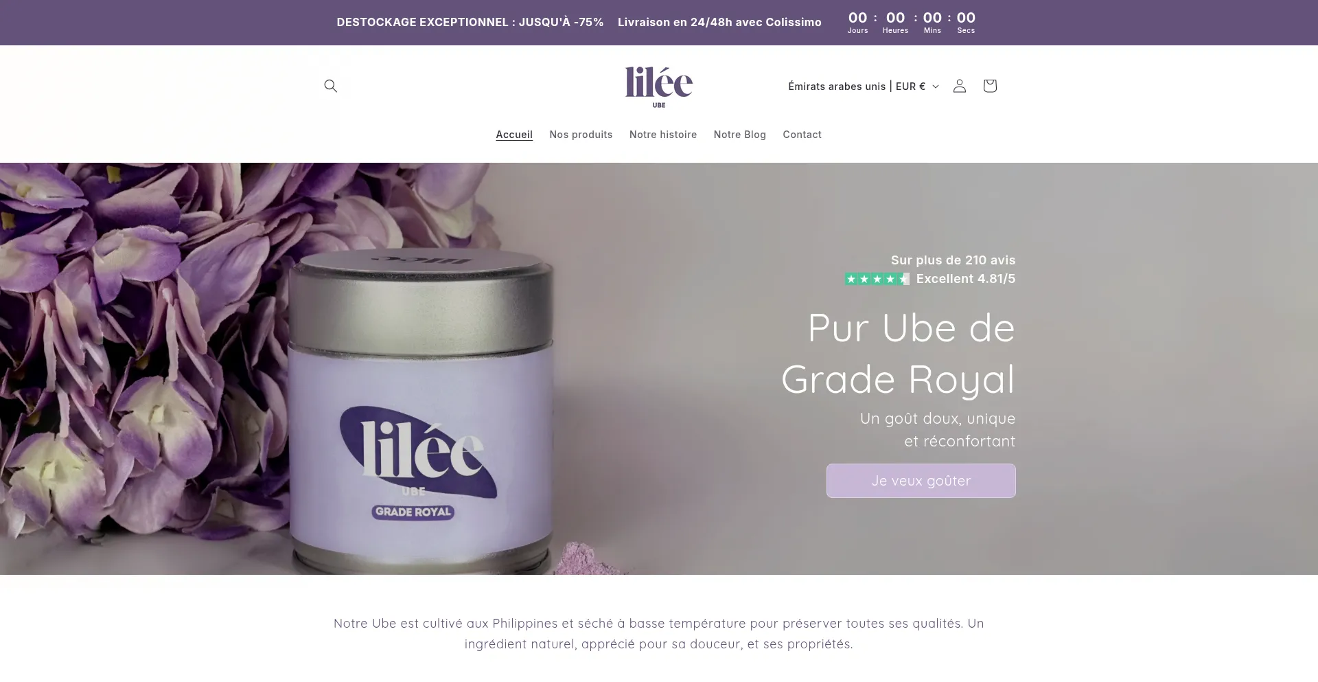 Website screenshot of Lileeube.com